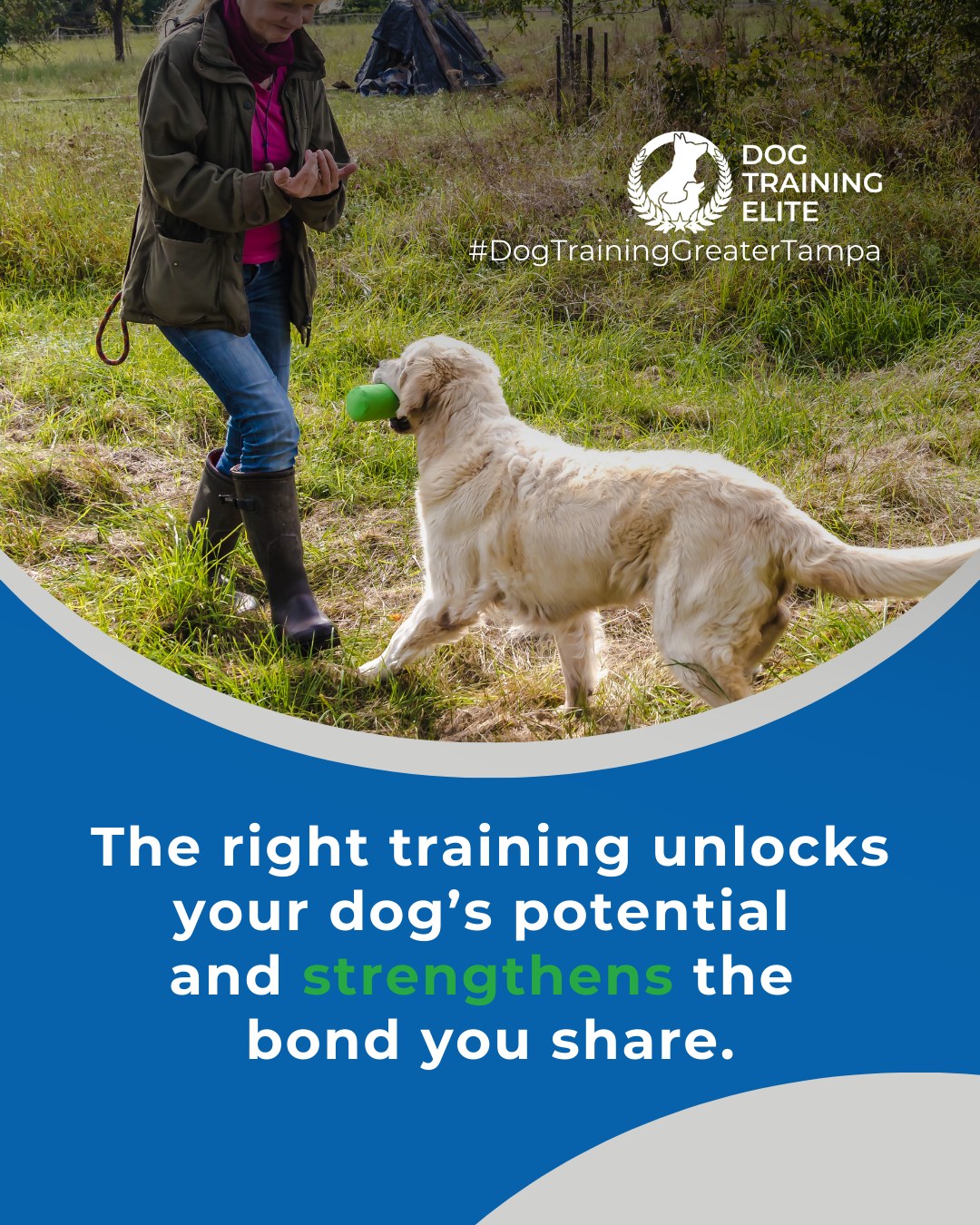 Choosing the right training program doesn&rsquo;t have to be confusing. Obedience, service, therapy, each has its purpose, and we help you find the perfect fit for your dog&rsquo;s needs and your goals. 

At Dog Training Elite Greater Tampa, clarity and guidance make all the difference. Ask us anything! 💬

🐾 Make better behavior your first win of the year. Book your free in-home evaluation and see why Wesley Chapel and Land O' Lakes dog owners choose Dog Training Elite for real, lasting results.
 📍 https://maps.app.goo.gl/1ZJg4LdYD2tp6W476



