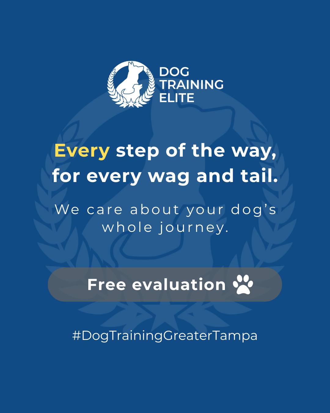 Every dog&rsquo;s journey is unique, and we&rsquo;re here for every step. 🐾

 From puppy foundations to advanced off-leash reliability, our team in Greater Tampa guides you and your dog with patience, skill, and consistency. Building trust, confidence, and connection is what makes training truly rewarding.

Make better behavior your first win of the year. Book your free in-home evaluation and see why Wesley Chapel and Land O' Lakes dog owners choose Dog Training Elite for real, lasting results.
📍https://maps.app.goo.gl/1ZJg4LdYD2tp6W476


