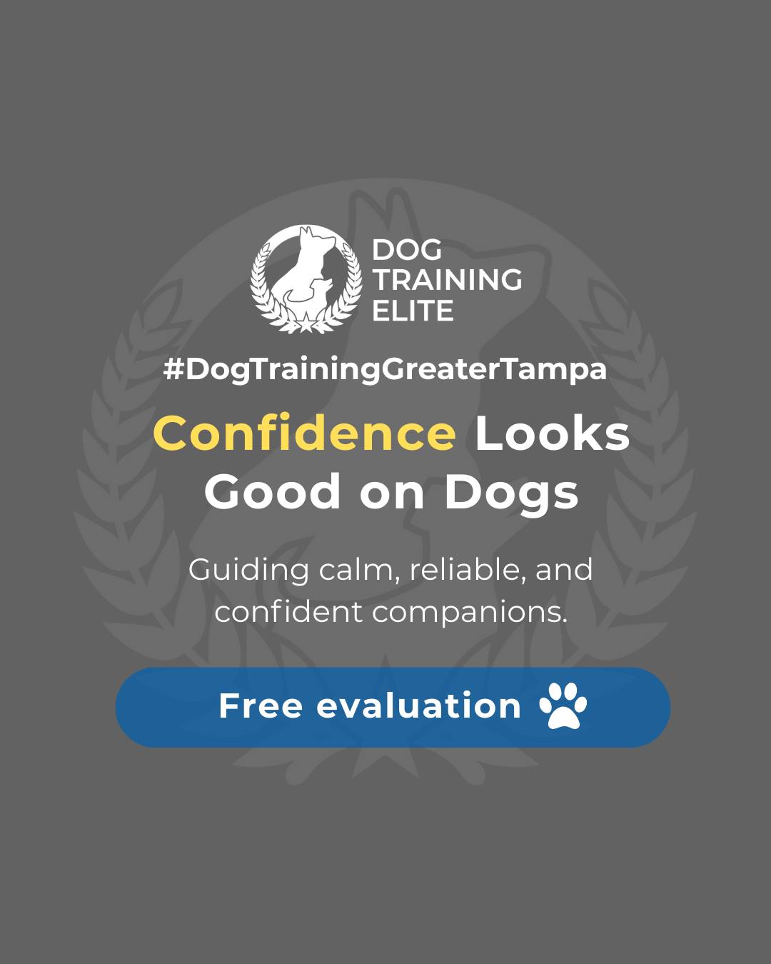 Did you know confident dogs are more focused, calm, and easier to manage at home and in public? Teaching your dog structure, consistency, and clear communication helps them feel secure and reliable in any situation.

How does your dog show confidence? Share your stories below! 🐾

Make better behavior your first win of the year. Book your free in-home evaluation and see why Wesley Chapel and Land O' Lakes dog owners choose Dog Training Elite for real, lasting results.
 📍 https://maps.app.goo.gl/1ZJg4LdYD2tp6W476


