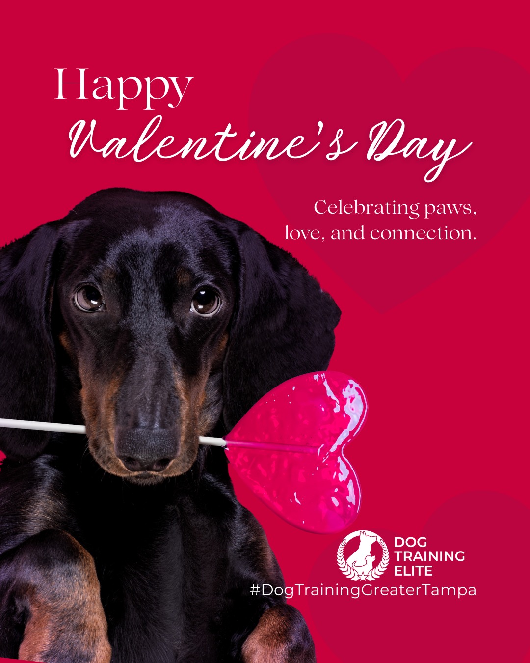 Love is in the air, and so is the joy of a well-trained dog! 💖

 This Valentine&rsquo;s Day, celebrate the bond with your furry Valentine. Whether it&rsquo;s teaching new tricks, mastering calm greetings, or simply spending quality time together, every moment strengthens your connection.
Training isn&rsquo;t just about obedience. It&rsquo;s about love, trust, and communication that lasts a lifetime.

Remember: no chocolates or human treats for your pups! Stick to dog-safe goodies. 🐶

Make better behavior your first win of the year. Book your free in-home evaluation and see why Wesley Chapel and Land O' Lakes dog owners choose Dog Training Elite for real, lasting results.
 📍 https://maps.app.goo.gl/1ZJg4LdYD2tp6W476



