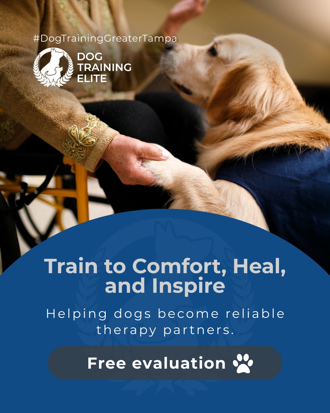 Some dogs are born to make a difference. Therapy dog training teaches dogs to provide comfort, support, and joy to people in hospitals, schools, and communities. 

Whether you&rsquo;re an educator, healthcare professional, or volunteer, the right training helps your dog develop the skills, confidence, and reliability needed to make a meaningful impact.

🎯Whether it&rsquo;s leash manners, obedience, or service training, Dog Training Elite Greater Tampa offers personalized programs near Land O' Lakes and Brandon, helping dogs shine all winter long. Cozy season, confident pups. ✨
 📍 https://maps.app.goo.gl/1ZJg4LdYD2tp6W476


