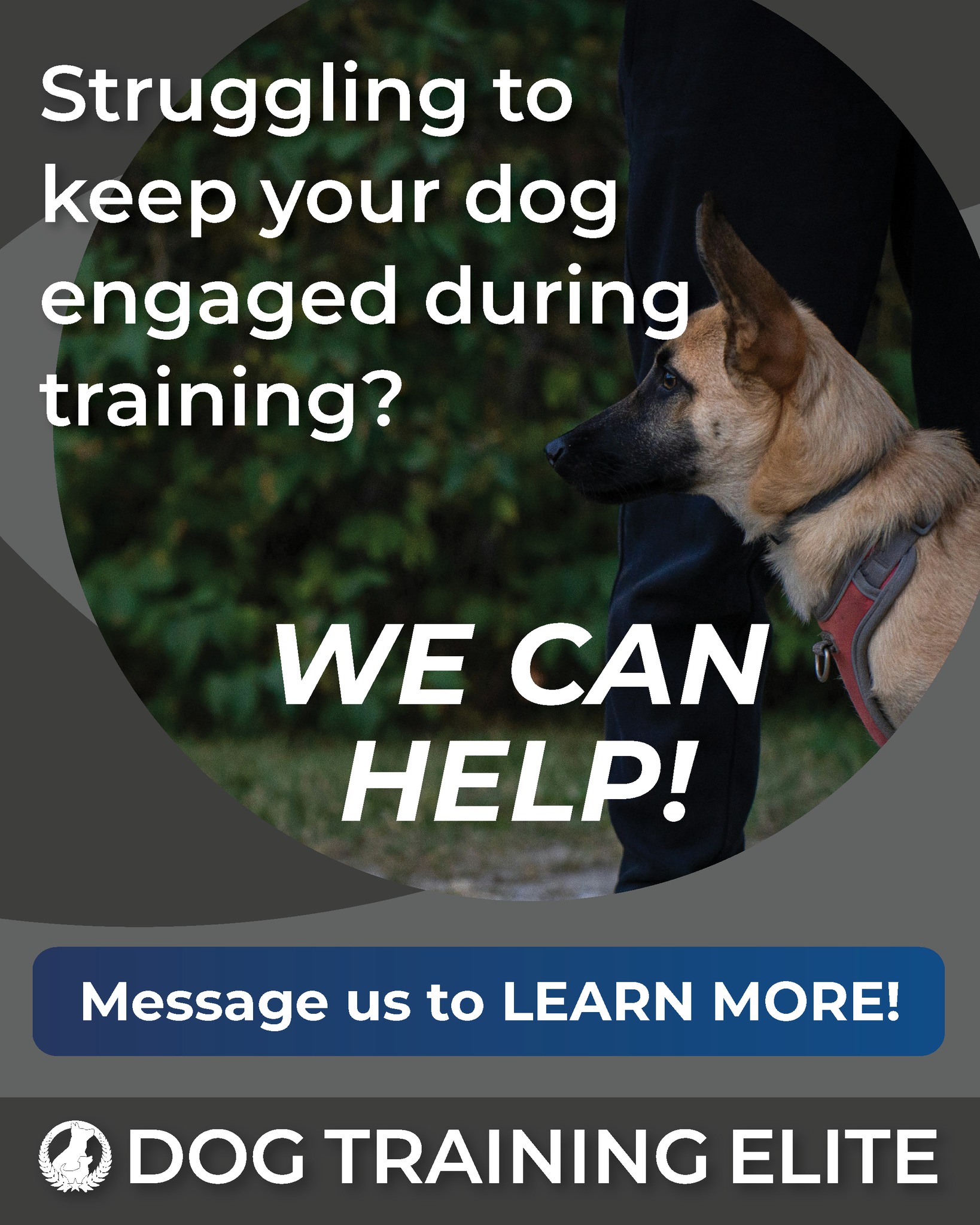www.dogtrainingelite.com/henderson