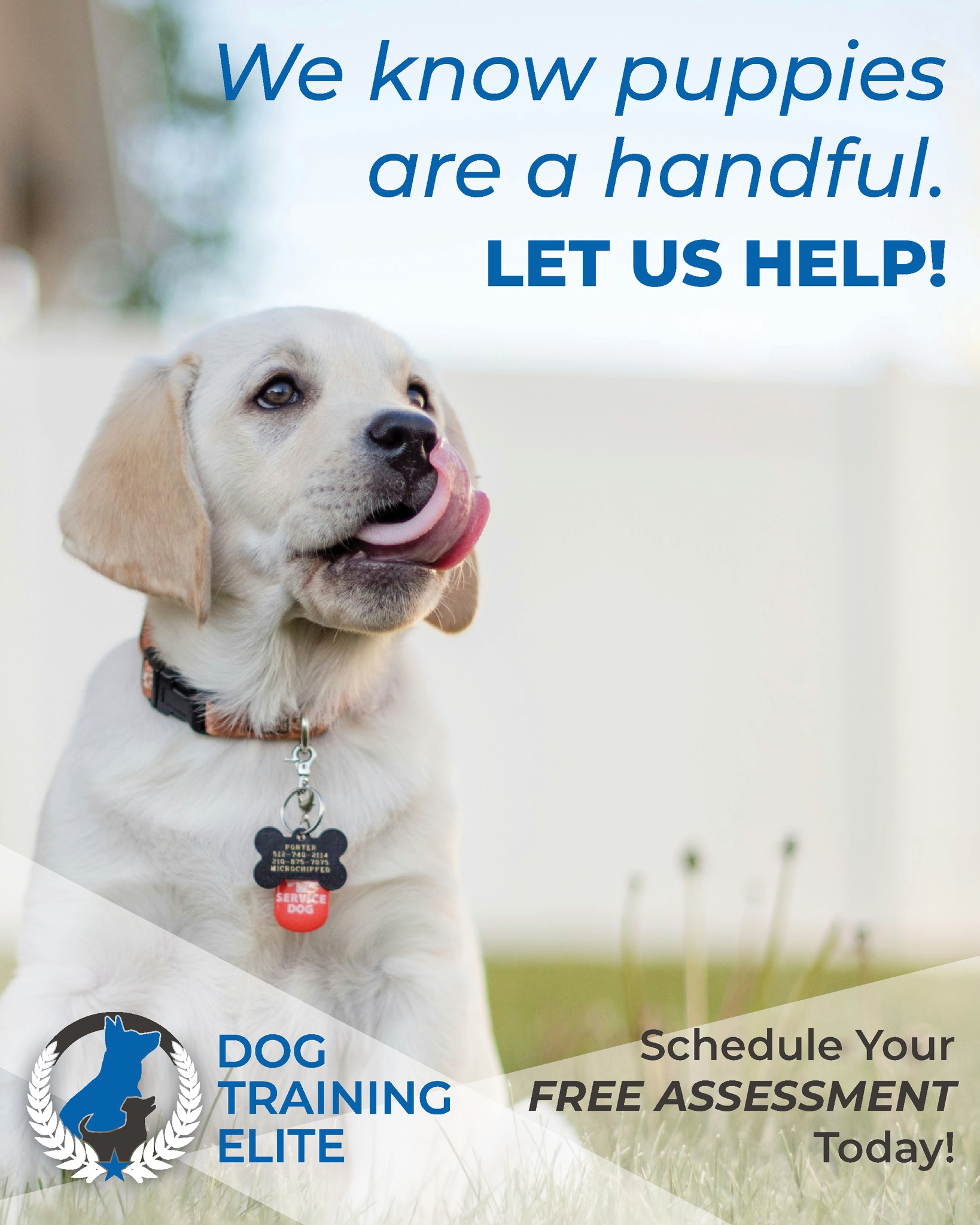 Puppies are adorable&hellip; and a handful. 😅🐶
The zoomies, the chewing, the accidents &mdash; it&rsquo;s all part of the learning process. Puppy training isn&rsquo;t about perfection, it&rsquo;s about guidance. Stay consistent, be patient, and remember: you&rsquo;re shaping the dog they&rsquo;ll become.
www.dogtrainingelite.com/henderson