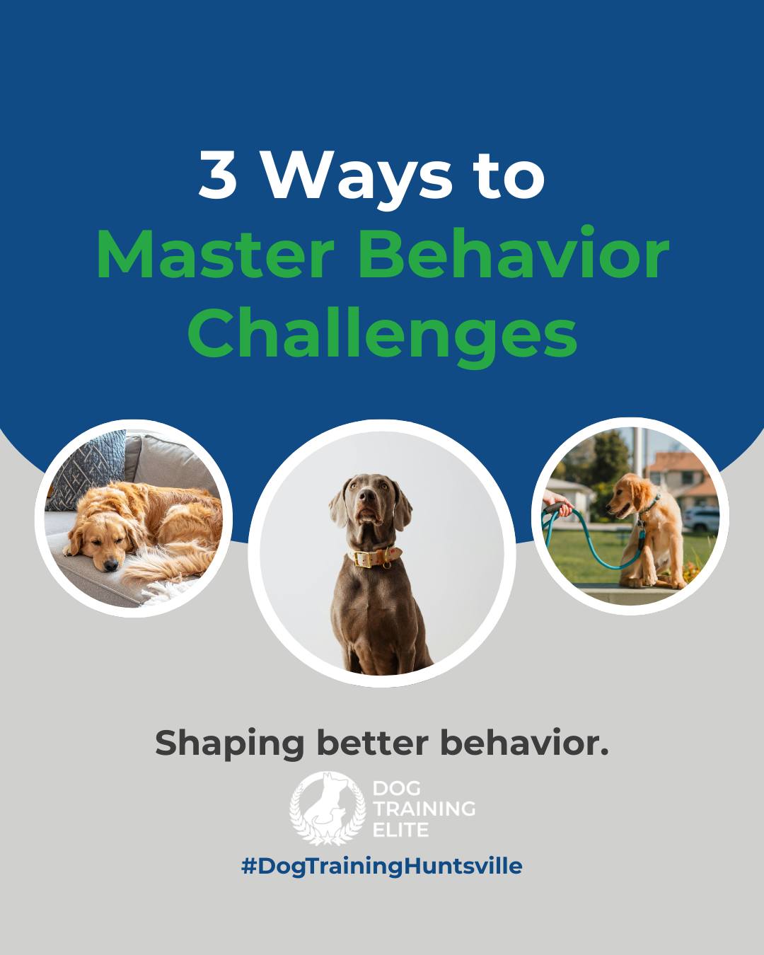 Dogs don&rsquo;t outgrow behavior problems on their own. They thrive when given structure, guidance, and consistent training. If your dog struggles with focus, impulse control, or reactivity, you are not alone. 

Here are 3 ways to support your dog&rsquo;s growth:
1️⃣ Provide consistent daily routines
2️⃣ Practice controlled exposure to triggers
3️⃣ Reward calm and focused behavior

Our team in Huntsville is here to guide you and your dog every step of the way. 🐾

Make better behavior your first win of the year. Book your free in-home evaluation and see why Huntsville and Madison dog owners choose Dog Training Elite for real, lasting results.
 📍 https://maps.app.goo.gl/Mg5GPWjPAqJ1osvy6



