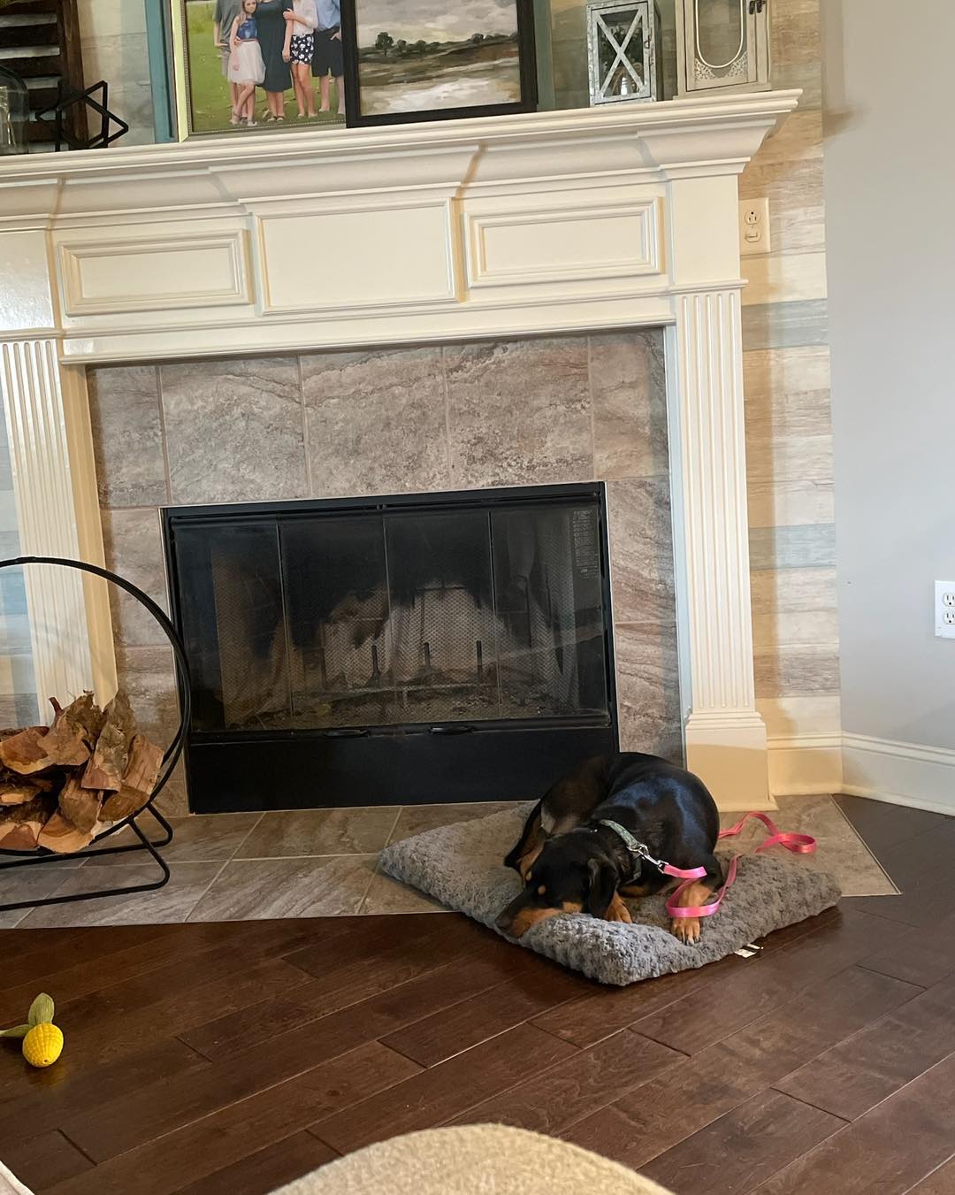Look at Piper doing &ldquo;Place&rdquo; so well for her owner with long durations. We can teach you how to calm your dog through those stressful situations. Let us know if you need some help calming your fur baby. 256-541-3019.