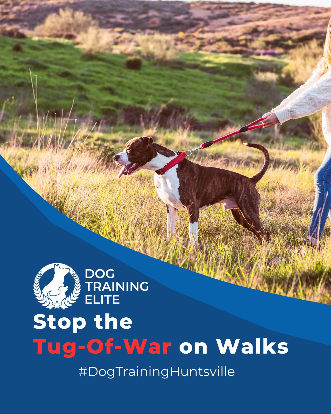 Leash pulling is one of the most common challenges for dog owners. Balanced training teaches your dog to walk calmly at your side, improving safety and enjoyment for both of you. Try these strategies:
 🐾 Use consistent cues so your dog understands what&rsquo;s expected
 🐾 Reward calm walking immediately to reinforce good behavior
 🐾 Practice short, frequent sessions to build focus and consistency
With patience and structure, your walks become stress-free, giving your dog confidence and improving your bond.

📌 Whether it&rsquo;s leash manners, obedience, or service training, Dog Training Elite Huntsville offers personalized programs near U.S. Space & Rocket Center and Madison Station Historic District, helping dogs shine all winter long. Cozy season, confident pups. ✨
 📍 https://maps.app.goo.gl/Mg5GPWjPAqJ1osvy6



