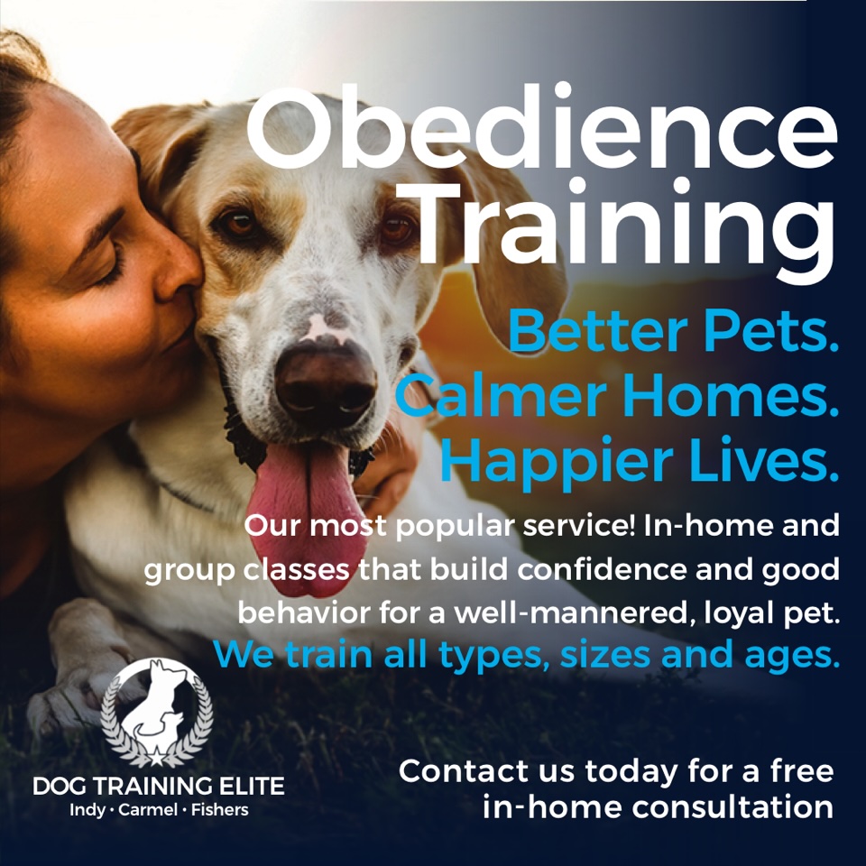 Life really is better with a well trained dog. Let us help your pup be the best it can be. We offer in-home and in-facility training options along with unlimited group classes. Call or message us now! (317) 788-8000



