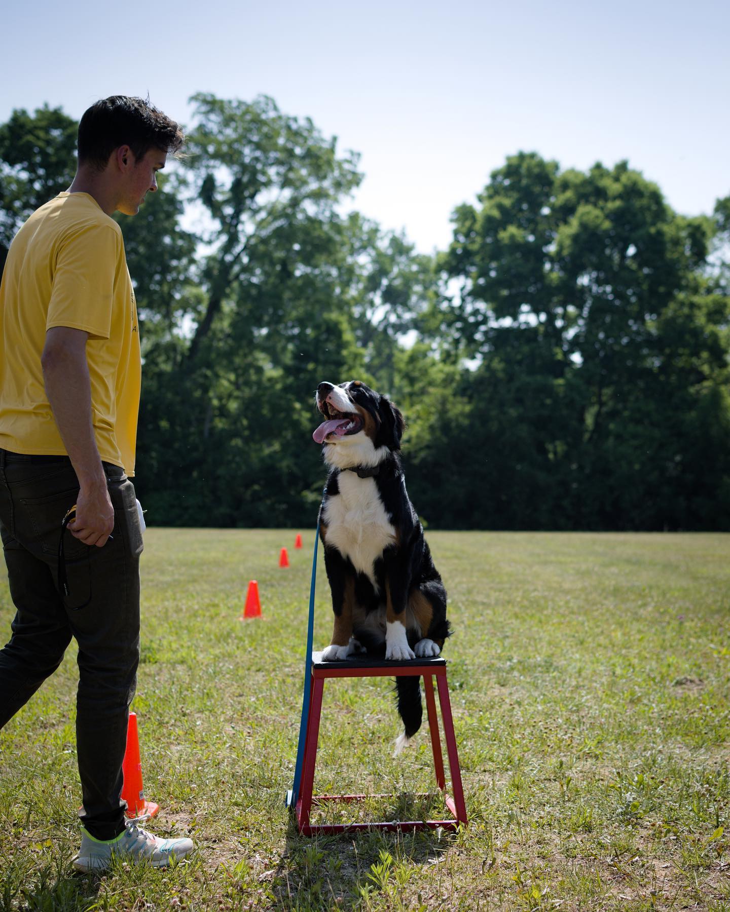For todays What is it Wednesday we are talking about checking in. 

Checking in is when your dog looks at you for guidance, direction or just to see how you are. We want to foster this as much as possible to build the bond between handler and pup. 

Dogs look to us for guidance and to see how we are reacting to situations. If you are anxious your pup will see that but if you are calm they&rsquo;ll see that too! Being mindful of our reactions and being confident leaders for our pups helps them relax and feel confident themselves. 







