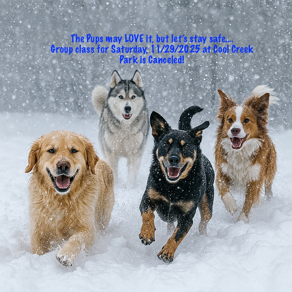 We're canceling Group Class for Saturday, 11/29/2025 at Cool Creek Park due to the impending weather event. We hope to see you soon at another class. Stay safe!
❄🐾🐾🐾❄






