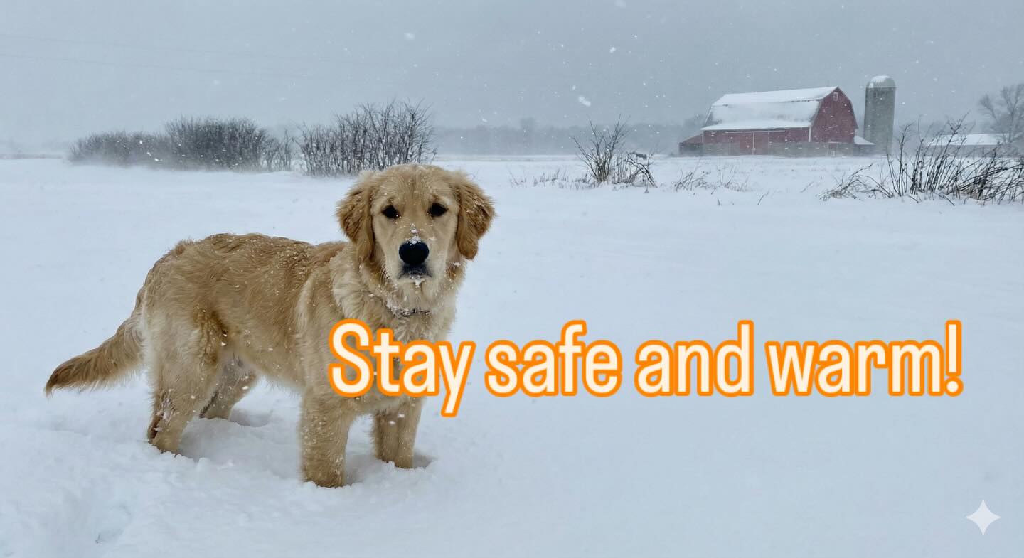 Well, again in the interest of everyone&rsquo;s safety, we&rsquo;re canceling Cool Creek Park group class for today (12/13/2025). We&rsquo;ll see you back out there soon! 
❄️☃️🌨️🐕🐶


