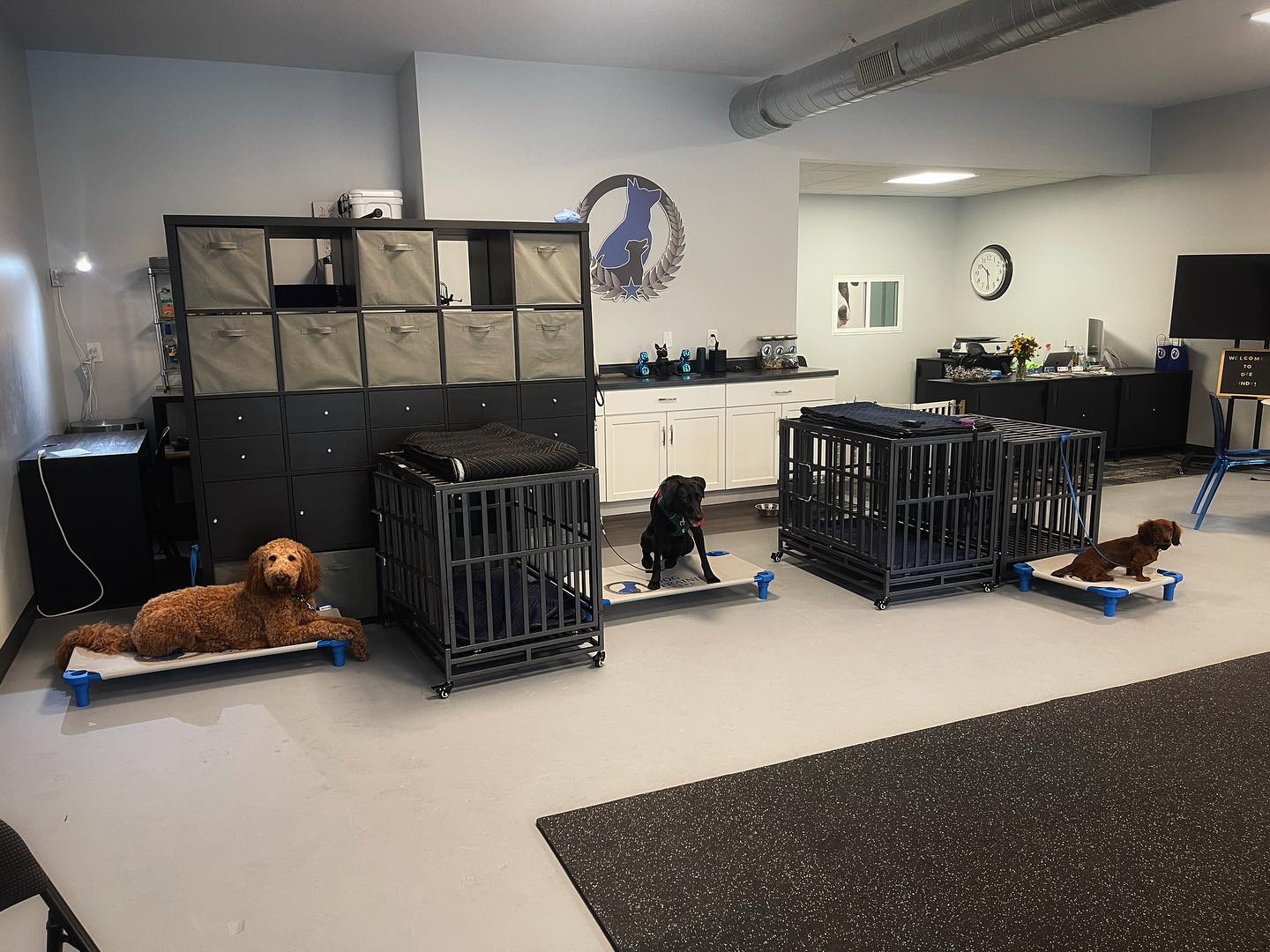 Bailey, Maggie and Axle did a great job learning place today and they are one day away from completing their first week of camp! 






