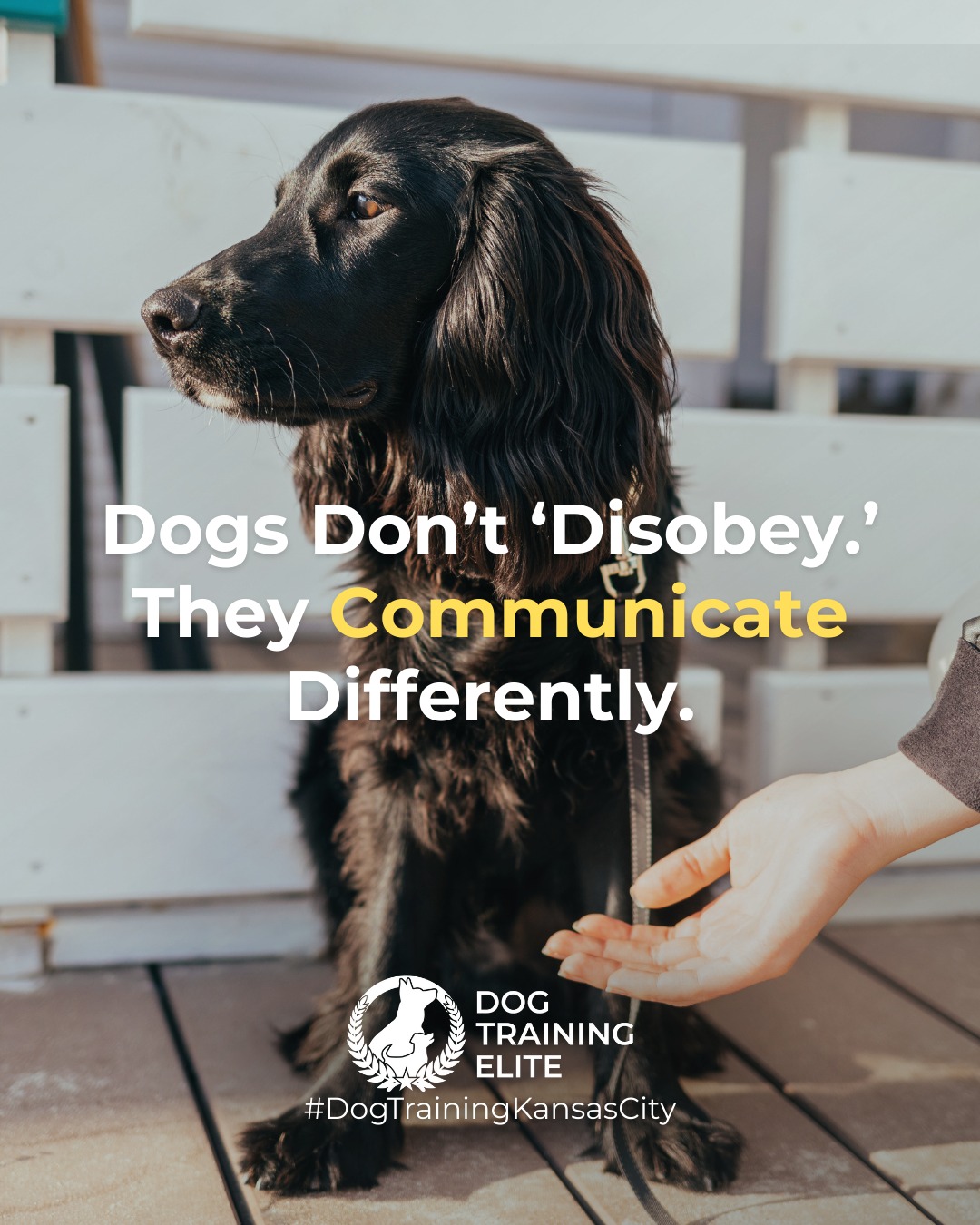 When your dog ignores a command, it&rsquo;s rarely defiance, it&rsquo;s communication.
Dogs often hesitate because they&rsquo;re confused, anxious, or unsure of expectations.

💡 Try this:
Revisit commands in a calm, low-distraction environment.
Keep tone and cues consistent.
Reinforce small wins to rebuild confidence.

When we listen to what our dogs are showing us through behavior, training becomes teamwork, not a power struggle.

 👉 From basic obedience to advanced service dog training, Dog Training Elite Kansas City helps dogs nearOverland Park build better behavior and stronger bonds this season. 🐾
 📍 https://maps.app.goo.gl/gRdBPWCrfbzeXenu9


