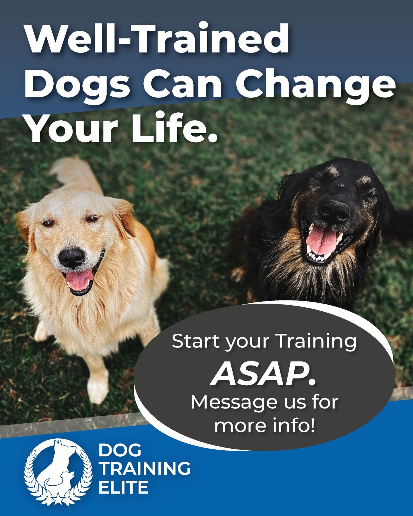 A well-trained dog doesn’t just make life easier—they make it better. 🐾✨ Unlock a happier, healthier bond and watch both your lives transform for the best! 