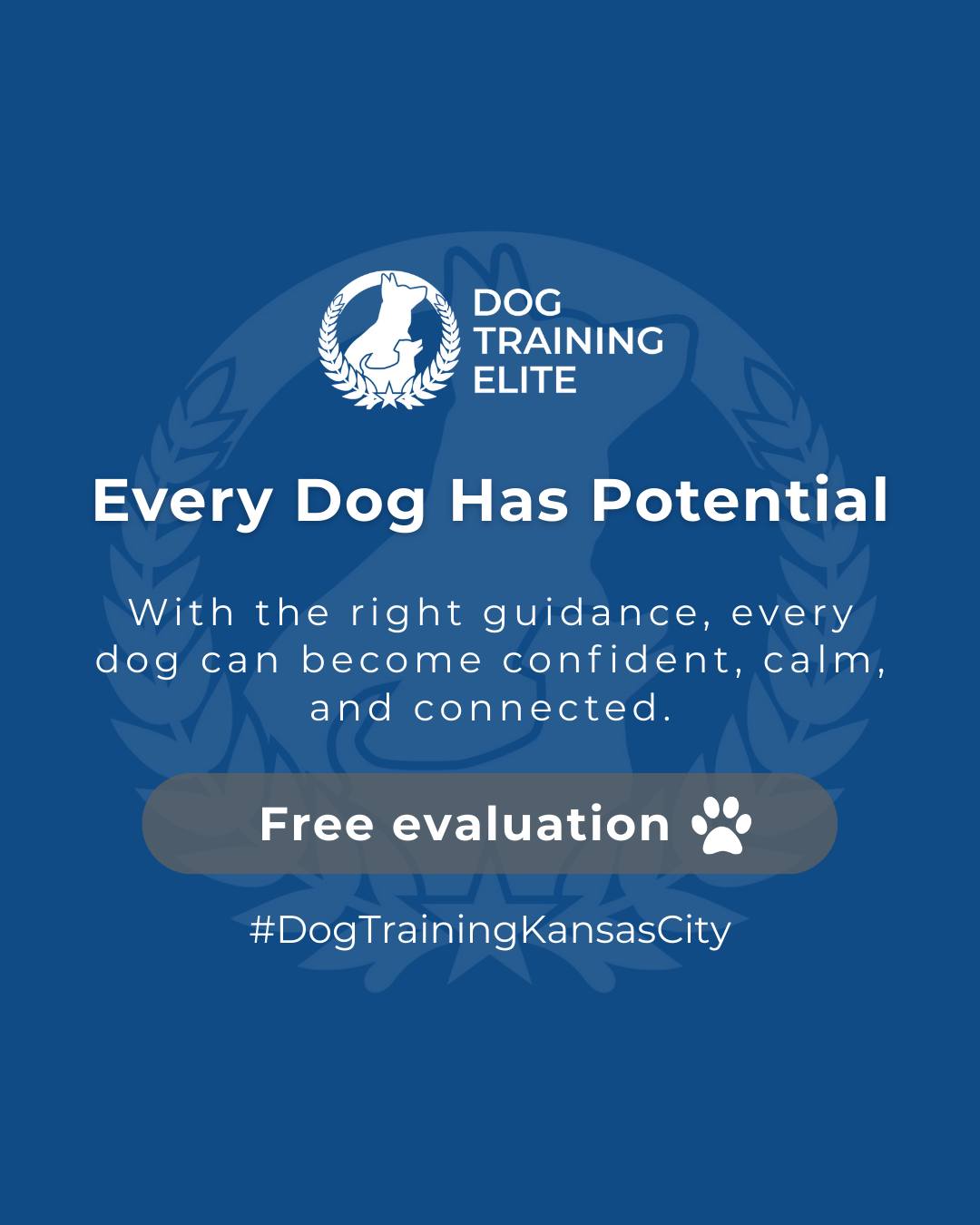 From puppy basics to advanced obedience and service training, every dog can learn to thrive with guidance from Dog Training Elite Kansas City, Overland Park, and Lee's Summit. 

We help dogs build confidence, focus, and calm behavior, strengthening the bond between you and your best friend.

🎯 From basic obedience to advanced service dog training, Dog Training Elite Kansas City helps dogs nearOverland Park build better behavior and stronger bonds this season. 🐾
 📍 https://maps.app.goo.gl/gRdBPWCrfbzeXenu9


