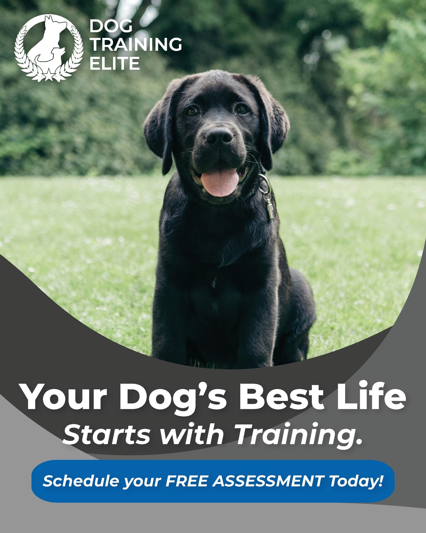 Your dog’s best life starts with training! 🐾✨ Unlock their full potential, strengthen your bond, and watch them thrive. Ready to make every tail wag with joy? Start today—happy, confident pups are just a lesson away! 