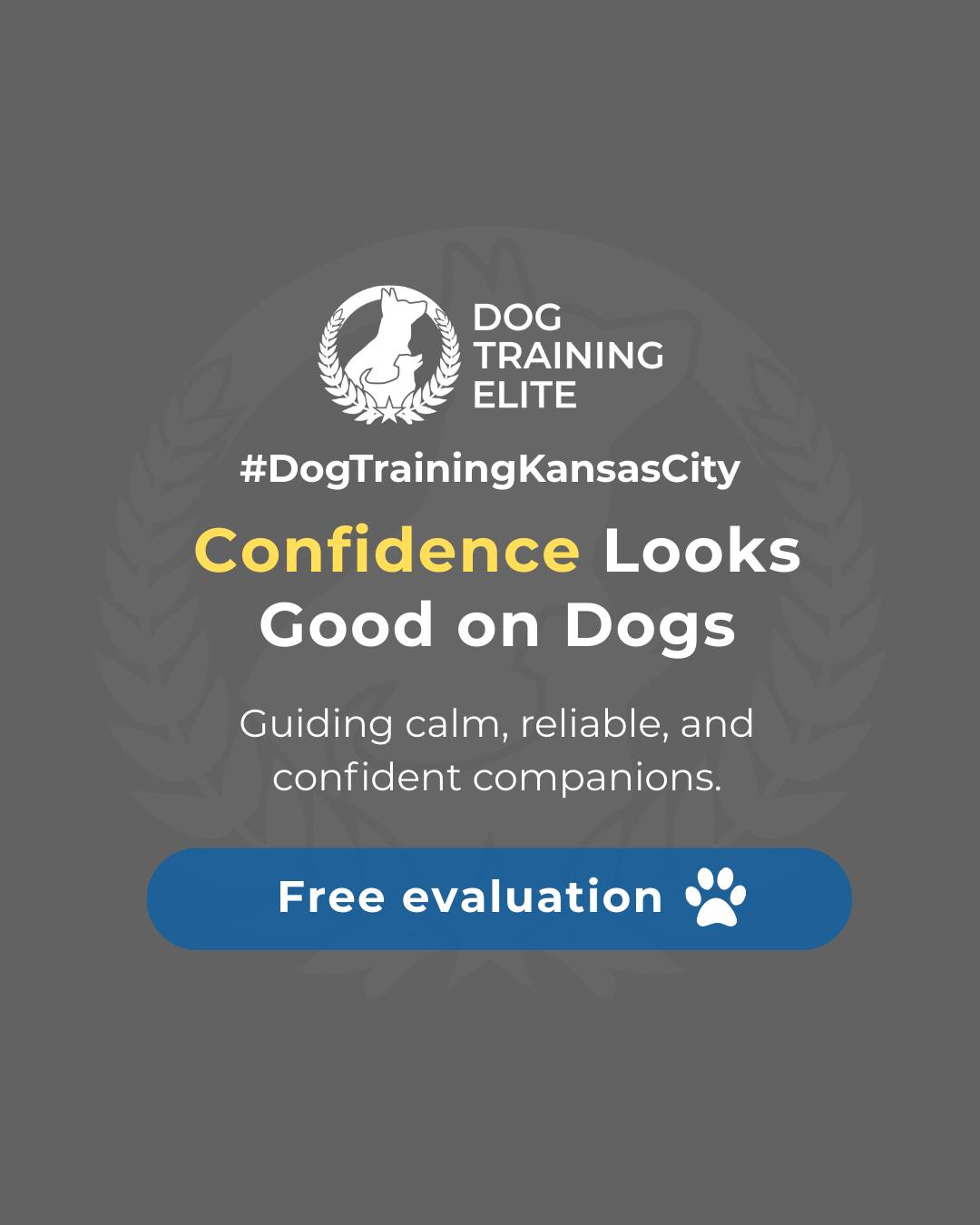 Did you know confident dogs are more focused, calm, and easier to manage at home and in public? Teaching your dog structure, consistency, and clear communication helps them feel secure and reliable in any situation.

How does your dog show confidence? Share your stories below! 🐾

Make better behavior your first win of the year. Book your free in-home evaluation and see why Kansas City and Overland Park dog owners choose Dog Training Elite for real, lasting results.
 📍 https://maps.app.goo.gl/gRdBPWCrfbzeXenu9


