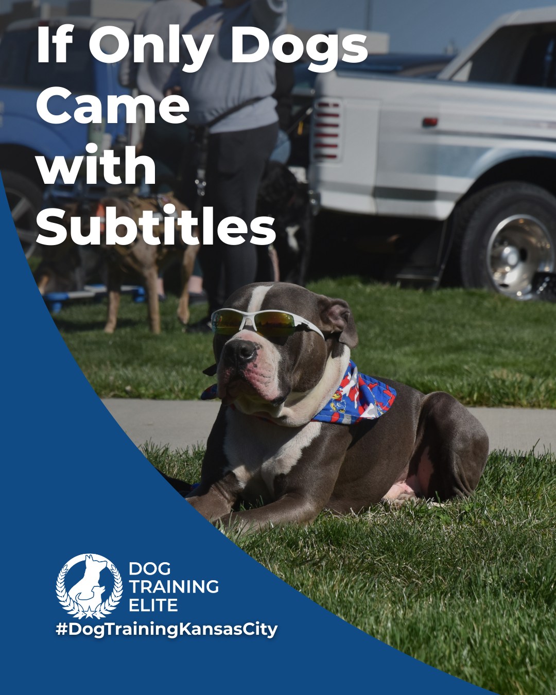 They’re not stubborn. They just don’t speak human. 🐾

If dogs had subtitles, training wouldn’t be necessary. Until then, we help you and your dog understand each other.

Dog Training Elite Kansas City offers service dog, therapy dog, puppy, and advanced obedience training, all led by experienced local trainers.

 Let’s start speaking the same language today!

🎯 From basic obedience to advanced service dog training, Dog Training Elite Kansas City helps dogs near Union Station build better behavior and stronger bonds this fall. 🐾



