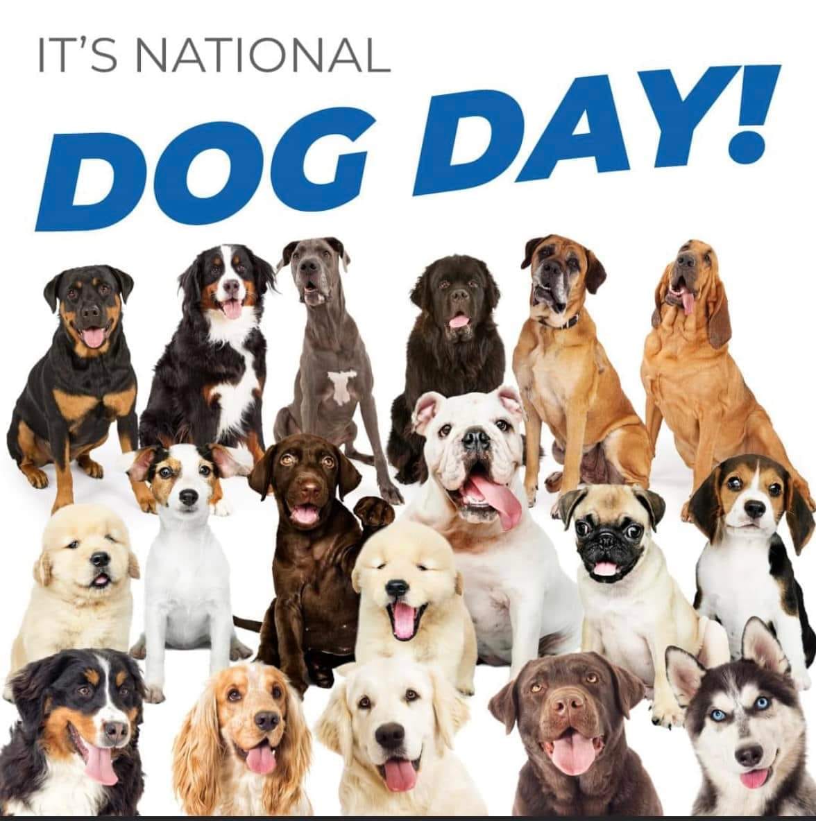 Celebrate National Dog Day and post your favorite pictures of you and your canine.