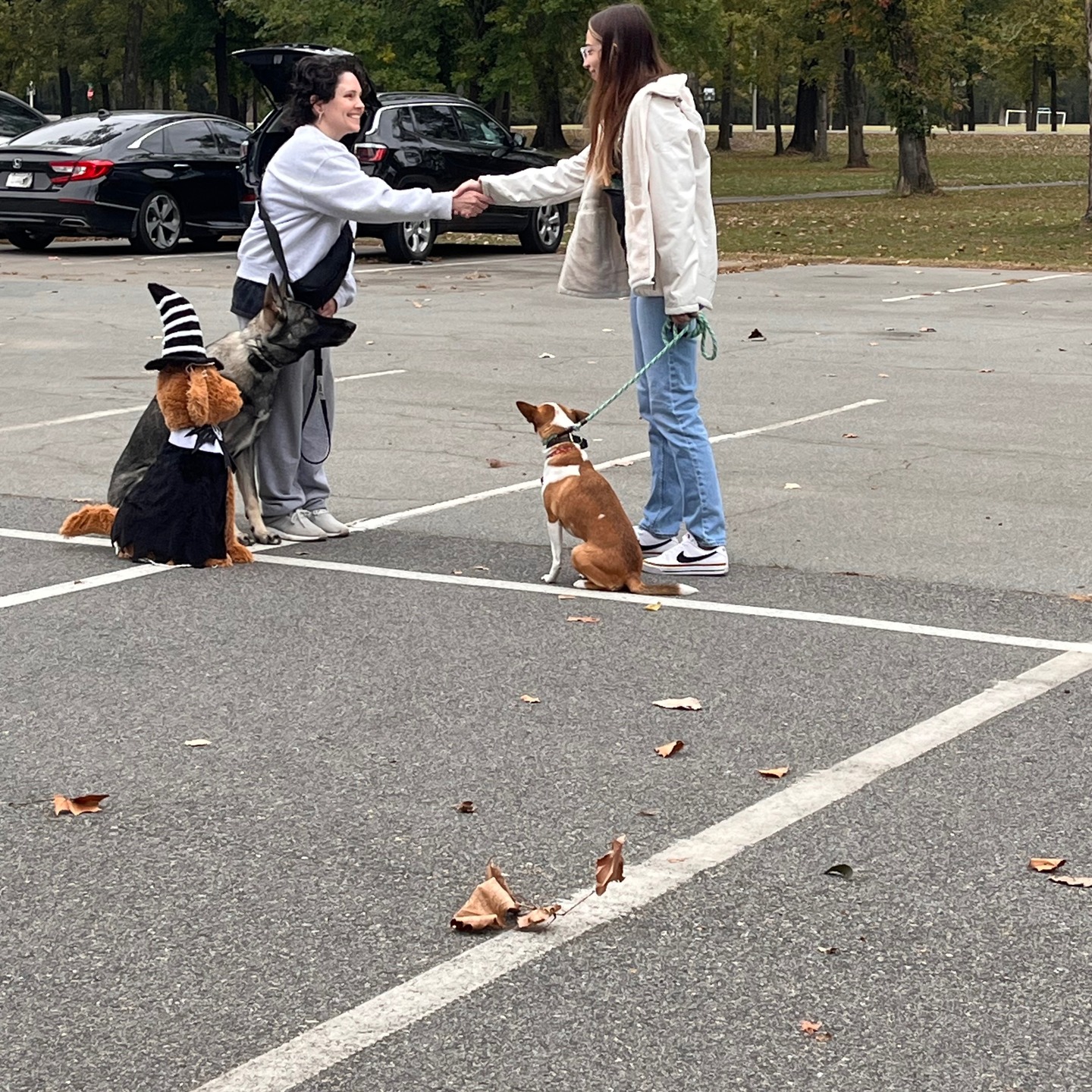 Test proofing around holiday decorations!!