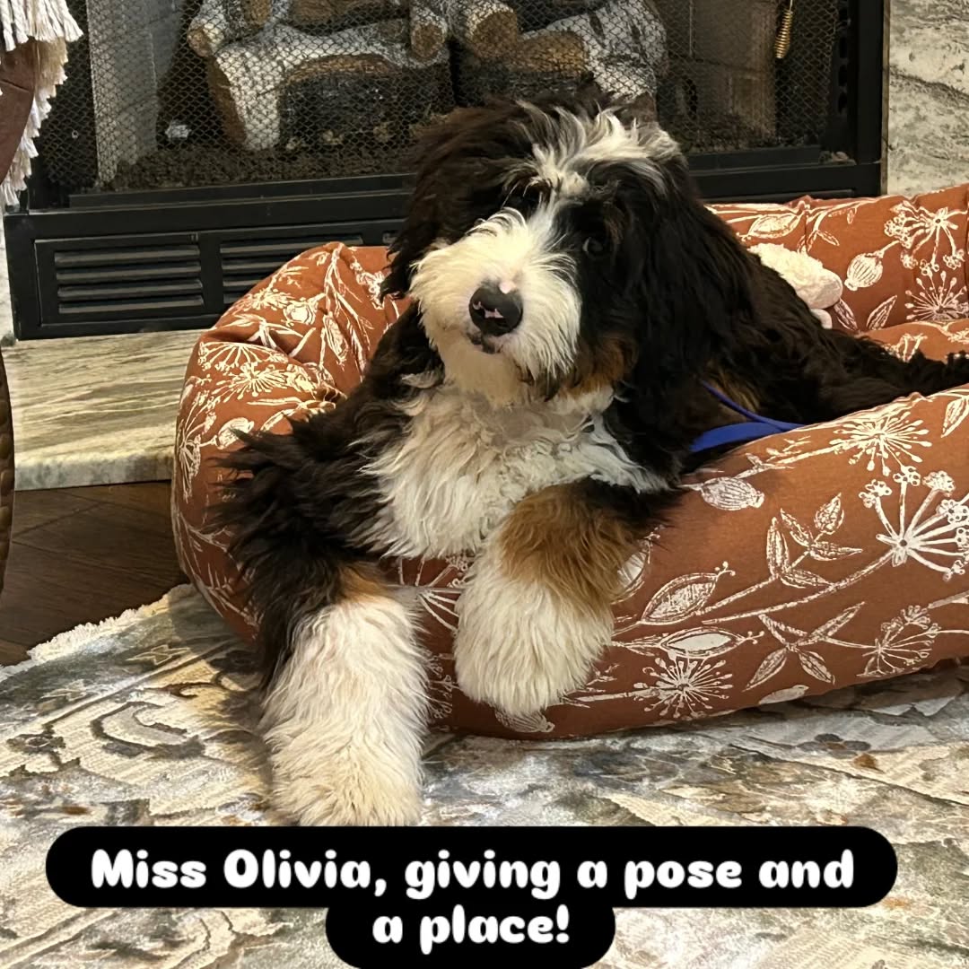 Miss Olivia, giving a pose and a place!