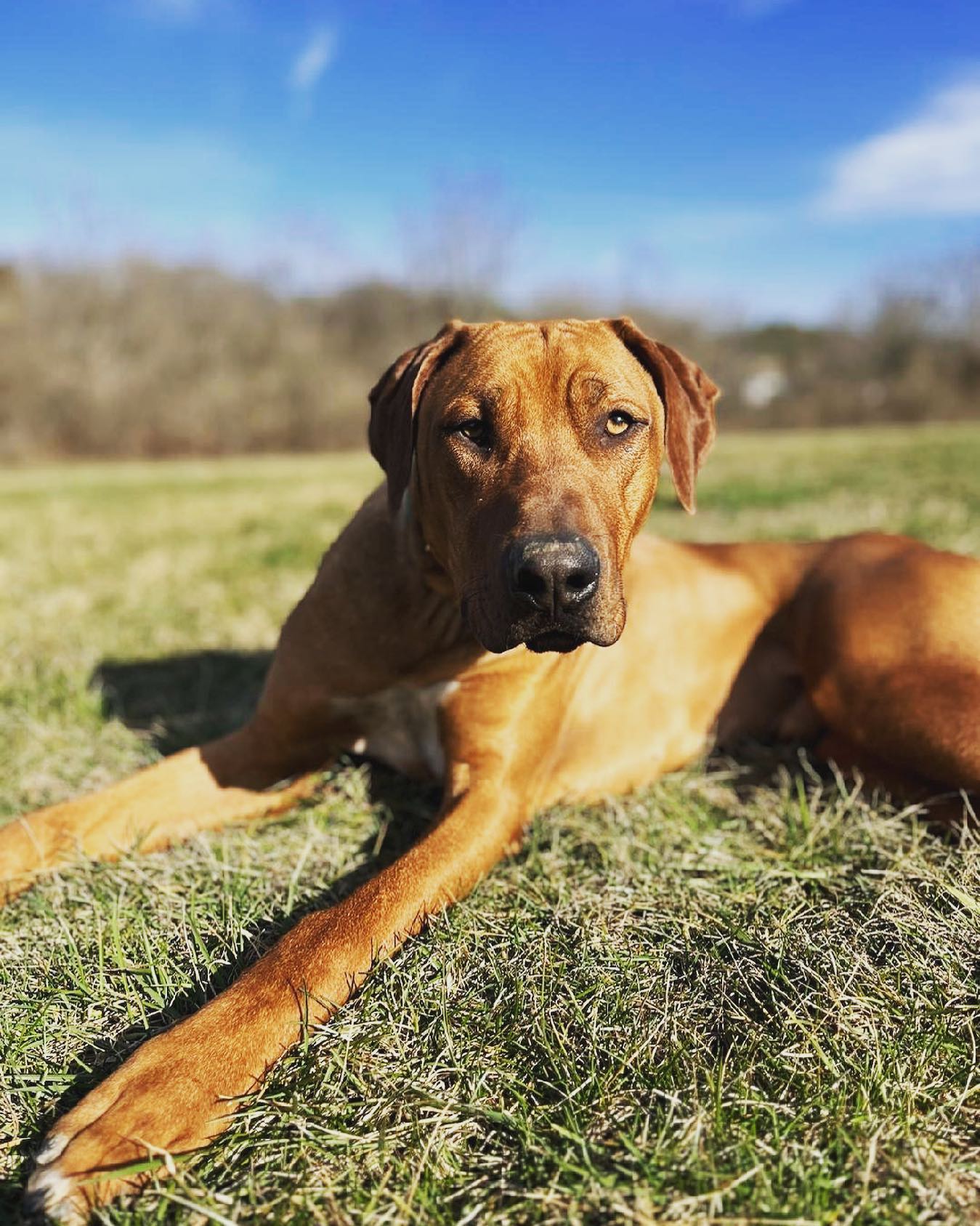Hey 👋🏼 Louisville! Bruno wants to know- are you coming to group class Saturday 11am-12pm? We would love to see you there! 