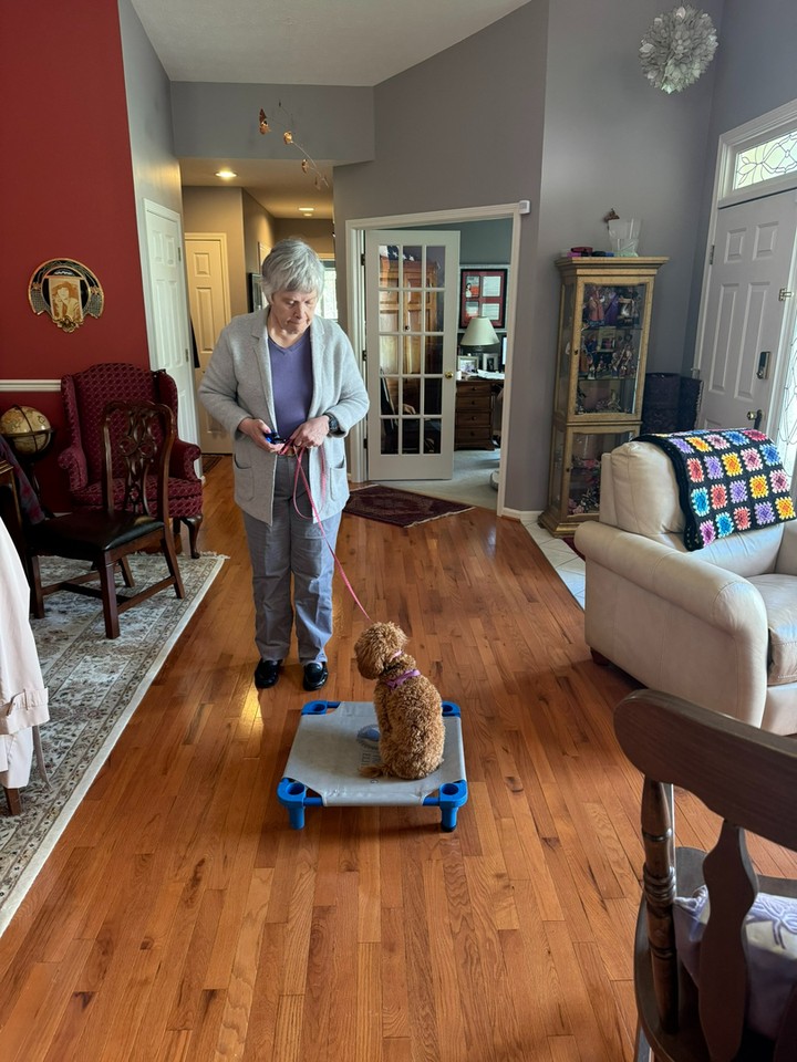 Real life dog training starts right at home. 🏠🐶

At Dog Training Elite Louisville, we focus on in home dog training that fits your daily routine, so your pup listens in the places that matter most. If you&rsquo;re in Louisville, Prospect, or Indian Hills and you&rsquo;ve been searching &ldquo;dog training near me,&rdquo; we&rsquo;re here to help with clear steps and steady progress.

Here&rsquo;s what we work on in our obedience training for dogs:
&bull; Leash manners and calm greetings 🦮
&bull; Sit, down, stay, and recall with real distractions
&bull; Confidence building for pups that get nervous

Want service dog training Louisville KY or therapy dog training? We can talk through goals and see what program makes sense for you and your dog.

Schedule your free in-home assessment today:
https://dogtrainingelite.com/louisville