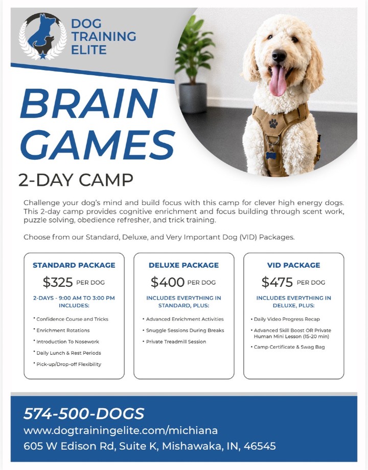 🐾 BRAIN GAMES 2-DAY CAMP!🧠
Mark your calendars: September 14-15
Ready to challenge your dog&rsquo;s mind and build their focus? Our Brain Games Camp includes an introduction to scent work, puzzle solving, obedience refreshers, trick training, and more! This camp gives your pup a chance to learn, think, and have fun! 🐶🧠✨
📌 Important: To sign up, please call us or visit the DTE Michiana Client Portal. To be eligible for Brain Games Camp, your dog must have completed a training package with Dog Training Elite.
Not currently enrolled? No problem! 📞 Call us at 574-500-DOGS to learn more about the training packages we offer and find the right fit for you and your dog.