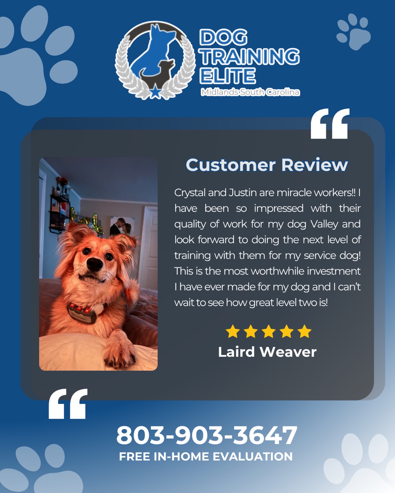 Teaching your dog to sit, stay, and check in with you before walking through a door builds focus, self-control, and better communication. It's one of those simple skills that makes everyday life safer and less stressful for everyone.

Want to teach your dog the same reliable manners? We'd love to help!

📞 Call Dog Training Elite Midlands SC at (803) 903-3647 to schedule your FREE in-home evaluation.

