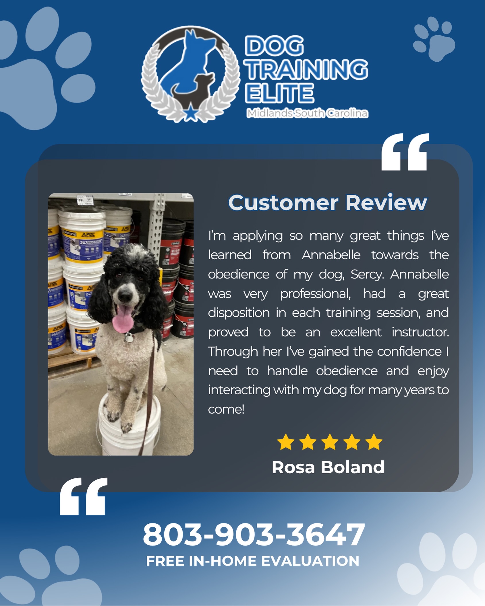 Helping dogs is rewarding. Helping owners feel confident is what makes it all worth it. 💙🐾

Thank you for trusting Annabelle and the Dog Training Elite Midlands SC team with Sercy's training journey! Hearing that you've gained the confidence to enjoy life with your dog for years to come is exactly why we do what we do.

Ready to build a stronger bond with your dog? We'd love to help.

📞 Call us today for your FREE in-home evaluation: **803-903-3647**

