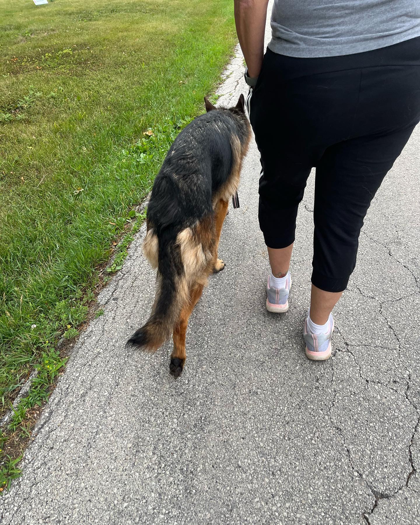 Joy is walking off-leash with a well trained dog! Fiona the rockstar GSD. 