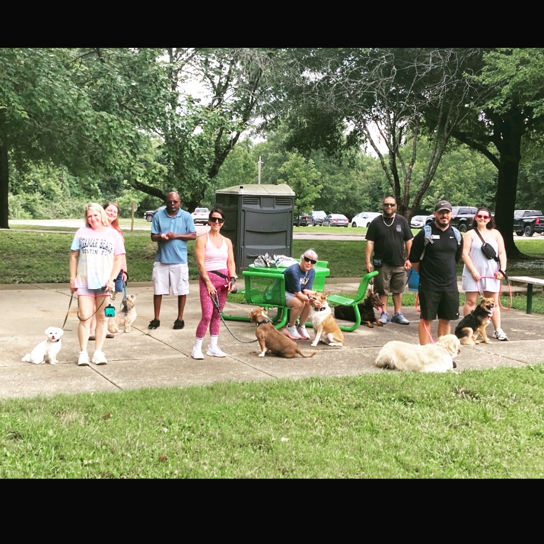 Everyone loves a play date!!! Does your dog need some socialization and would love to have some new friends? Give us a call about our group classes! 844-744-DOGS

