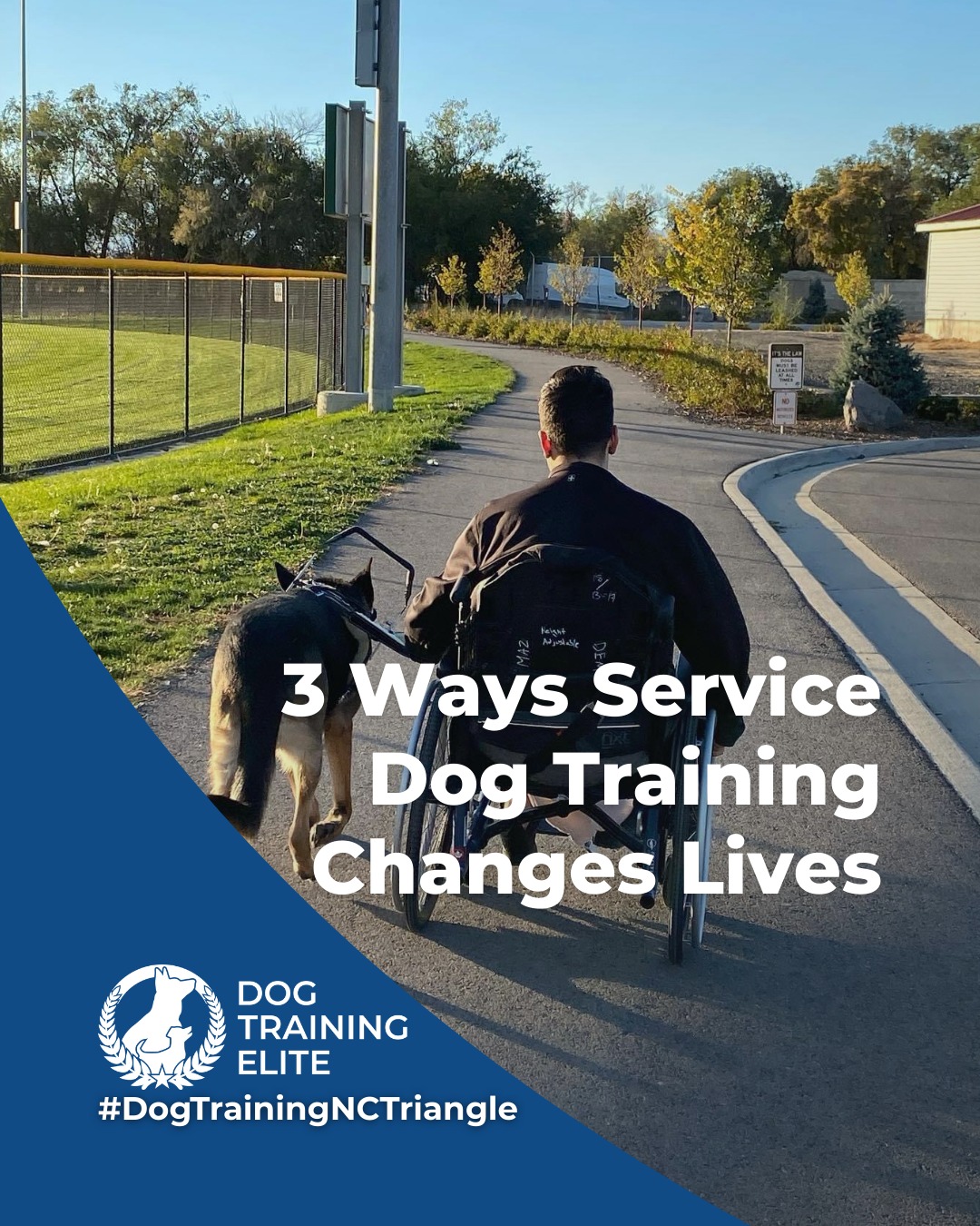 Service dogs are trained to do more than follow cues. They provide reliable support in moments that matter most. Proper service dog training focuses on calm behavior, advanced task work, and strong handler communication in real-world environments.

Service dog training may support individuals who:
 🐾 Live with PTSD, anxiety, or depression, including veterans and civilians
 🐾 Are on the autism spectrum and benefit from structured, task-oriented support
 🐾 Have epilepsy and require alert or response-based behaviors
Participating locations also offer advanced medical training for qualifying teams. 

Every service dog program is customized to the needs of the handler and the responsibilities required of the dog.
Service dog training is about trust, consistency, and life-changing partnership.

 🦮From basic obedience to advanced service dog training, Dog Training Elite North Carolina Triangle helps dogs near Raleigh build better behavior and stronger bonds this season. 🐾
📍 https://maps.app.goo.gl/igo1KzzLjdteZCGM9


