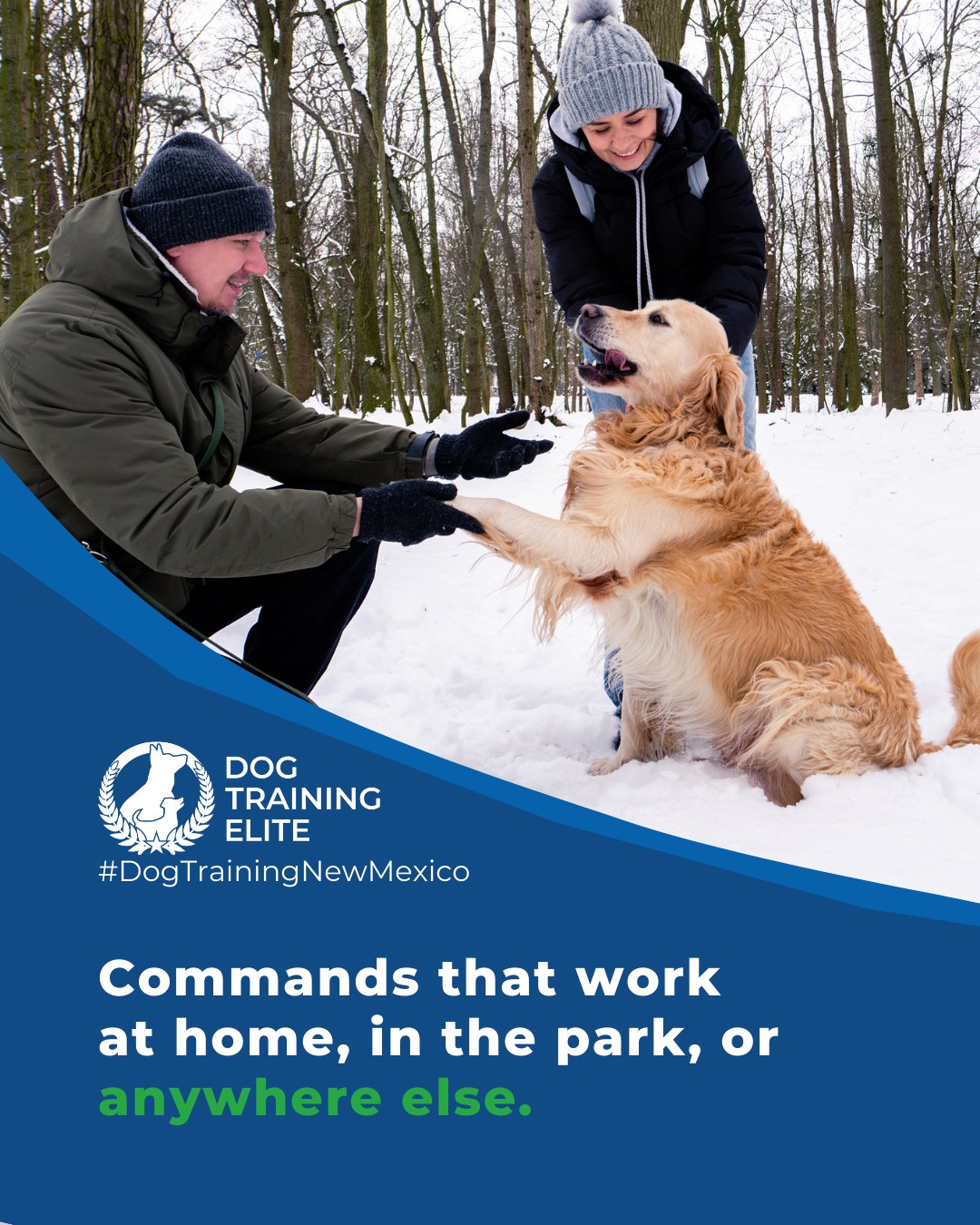 Dogs often perform well at home but fail in new environments. This is called &lsquo;context-specific learning.&rsquo; To prevent it, gradually introduce distractions, such as different rooms, outdoor areas, or other people and dogs. Reward consistency everywhere, not just at home.

🐾 Start small and increase distractions gradually
 🐾 Reward your dog for performing commands in new environments
 🐾 Practice regularly in different locations to build reliability and confidence

Dogs that are proofed across environments are more reliable, confident, and stress-free.

🎯 From basic obedience to advanced service dog training, Dog Training Elite New Mexico helps dogs near Albuquerque build better behavior and stronger bonds this season. 🐾
 📍 https://maps.app.goo.gl/iipdsxXWWx3dKN5Y9




