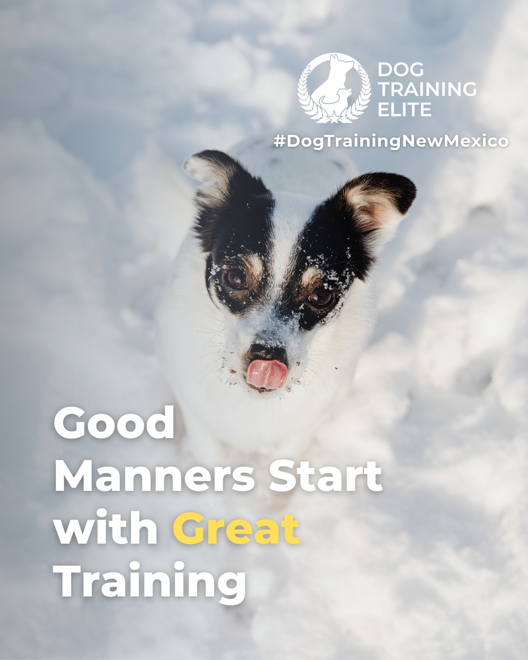 Obedience training builds confidence, focus, and respect between you and your dog. Dog Training Elite New Mexico teaches essential commands through in-home sessions and group classes, helping your dog stay calm and well-mannered in any setting. 🐶✨

Start early for lasting habits, or refresh skills with proven, balanced methods for older dogs.

Ready to begin? Schedule your first session today!

 📌 Whether it&rsquo;s leash manners, obedience, or service training, Dog Training Elite New Mexico offers personalized programs near Balloon Fiesta Park and Sawmill Market, helping dogs shine all winter long. Cozy season, confident pups. ✨
 📍 https://maps.app.goo.gl/iipdsxXWWx3dKN5Y9



