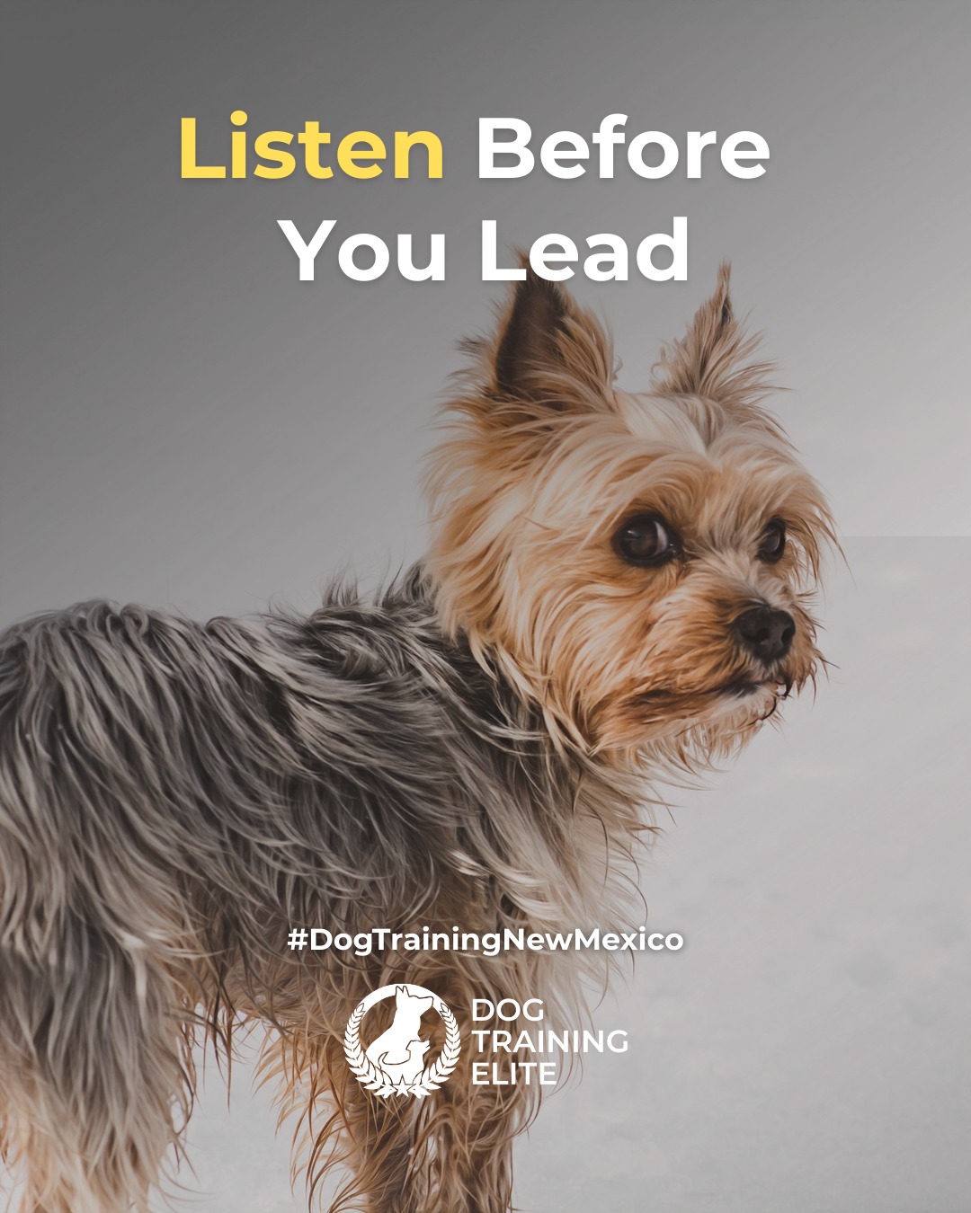 Communication is the foundation of trust between you and your dog. Recognizing subtle body language cues helps prevent stress, fear, and unwanted behaviors before they start.

 Here&rsquo;s what to watch for:
 🐾 Tail Position: A stiff, high tail often signals alertness or agitation, while a relaxed wag shows comfort.
 🐶 Ears & Eyes: Forward ears can show focus; pinned-back ears may indicate anxiety or submission.
 🦴 Posture: A tense body can mean fear or guarding instincts, while loose movements show confidence and ease.

Dog Training Elite New Mexico teaches owners in Albuquerque and Rio Rancho to read and respond to these cues, building mutual understanding and balanced relationships.

🎯 Warm up your winter with a well-trained pup. Schedule your free in-home evaluation and see why families in Albuquerque, Rio Rancho, and surrounding areas trust Dog Training Elite for results that last through every season.
 📍 https://maps.app.goo.gl/iipdsxXWWx3dKN5Y9

 

