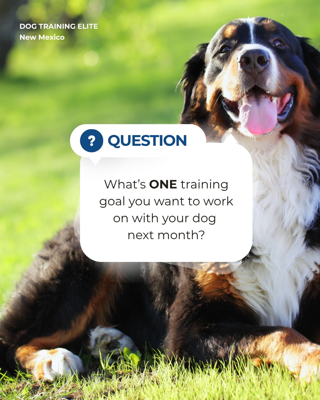 Before September wraps up, check in on your dog&rsquo;s progress. 🐾

What&rsquo;s the next goal you want to work toward: better recall, calmer walks, more focus, or something else?

At Dog Training Elite New Mexico, we help dogs and their owners in Albuquerque turn training goals into real-world results.

Tell us your goal in the comments!

