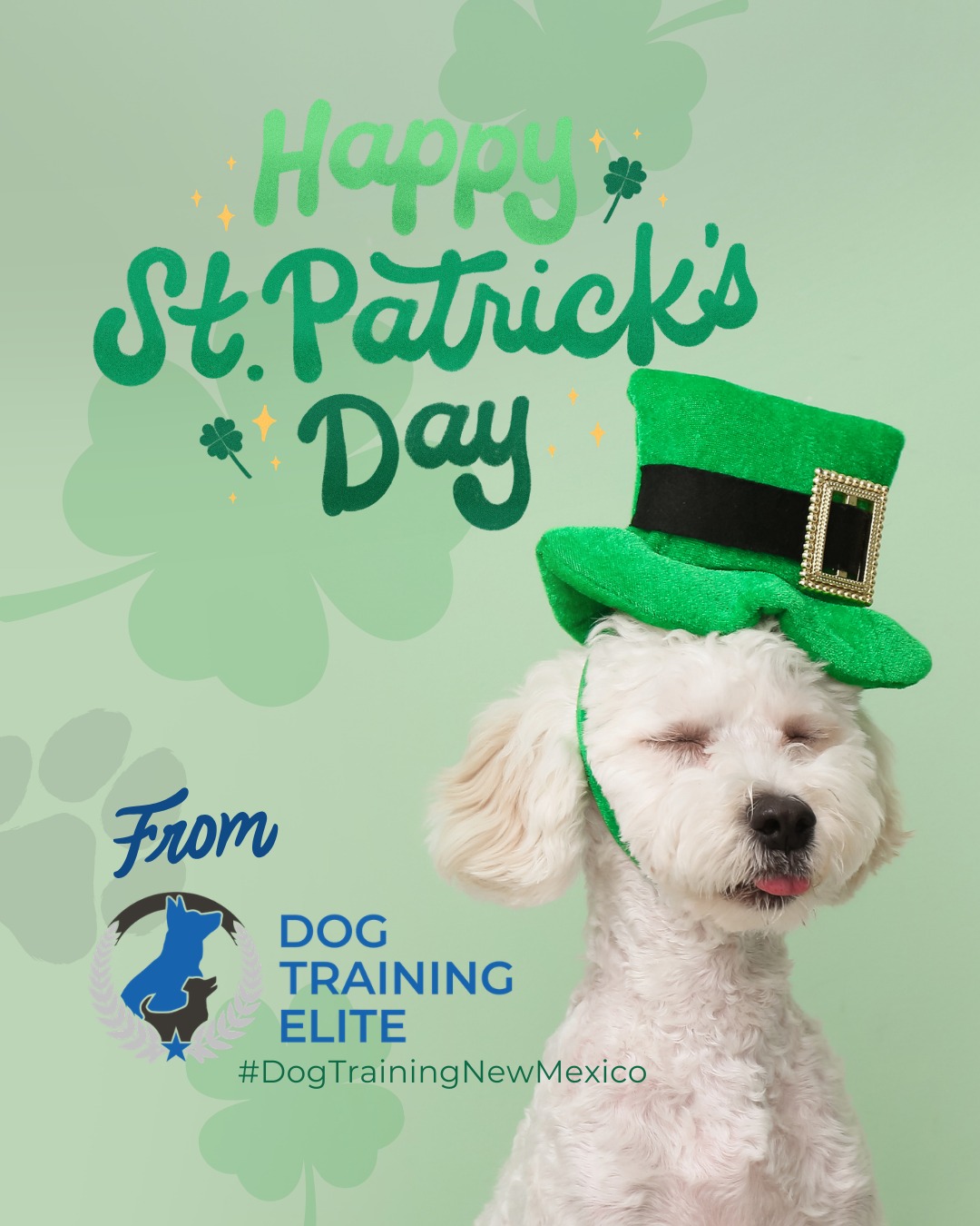 Our clients & their pups always make us feel the luckiest 🍀 

From DTE we want to wish you a St. Patrick&rsquo;s Day filled with extra playtime, confidence-building games, and fun training challenges. A little luck goes a long way when you&rsquo;re strengthening focus, calm behavior, and your bond. Show your dog some love and let them shine today!

🎯 Warm up your winter with a well-trained pup. Schedule your free in-home evaluation and see why families in Albuquerque, Rio Rancho, and surrounding areas trust Dog Training Elite for results that last through every season.
📍 https://maps.app.goo.gl/iipdsxXWWx3dKN5Y9




 