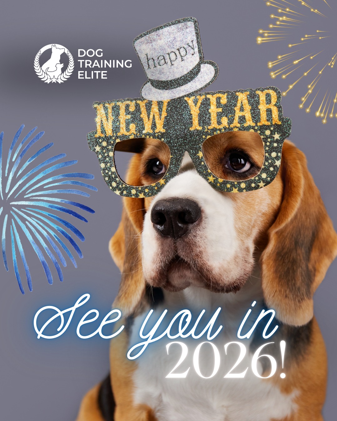 From Dog Training Elite New Mexico, we want to wish you a Happy New Year! 🐾 We are so thankful for everyone who trusted us with their pups this last year!

If your New Year&rsquo;s resolution is to have better communication with your dog, you&rsquo;re in the right place! Consistency, patience, and clear cues are the keys to transforming your dog&rsquo;s behavior this year. Set realistic goals: 5&ndash;10 minute daily training sessions can make a huge difference. 

 🎉From basic obedience to advanced service dog training, Dog Training Elite New Mexico helps dogs near Albuquerque build better behavior and stronger bonds this season. 🐾
 📍https://maps.app.goo.gl/iipdsxXWWx3dKN5Y9



