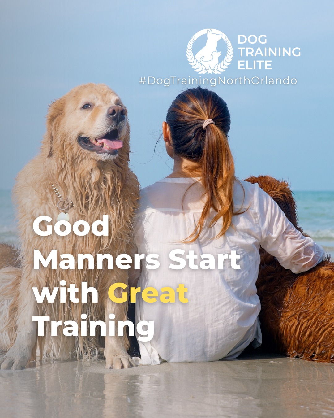 Obedience training builds confidence, focus, and respect between you and your dog. Dog Training Elite North Orlando teaches essential commands through in-home sessions and group classes, helping your dog stay calm and well-mannered in any setting. 🐶✨

Start early for lasting habits, or refresh skills with proven, balanced methods for older dogs.

Ready to begin? Schedule your first session today!

 🎯 🎁 Ready to unwrap the gift of a well-behaved dog? Schedule your free in-home evaluation and discover why Dommerich Estates and Old Winter Park families rely on Dog Training Elite, through the holidays and beyond.
 📍 https://maps.app.goo.gl/ppJCTnWuEJJonM3y8


