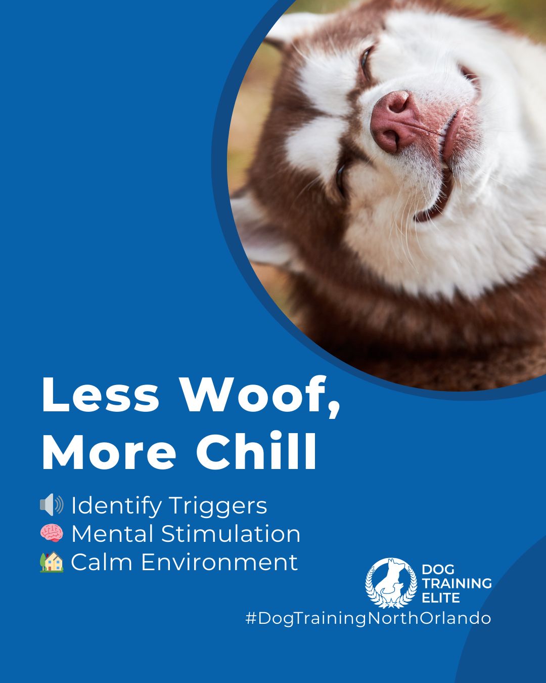 Excessive barking can stem from anxiety, boredom, or excitement. Dogs often bark at noises, strangers, or when they&rsquo;re left unstimulated, which can disrupt your home and daily life.

Recognizing triggers and teaching calm behavior is key to managing excessive barking. At Dog Training Elite North Orlando, you&rsquo;ll work with Craig to help your dog learn when it&rsquo;s appropriate to bark and guide them to remain calm at home and in public. With consistent training and mental enrichment, your dog can focus, relax, and enjoy a quieter environment.

Schedule a free consultation today to start helping your dog manage their barking in a healthier, calmer way.

🐾 Make better behavior your first win of the year. Book your free in-home evaluation and see why Winter Park and Maitland dog owners choose Dog Training Elite for real, lasting results.
 📍 https://maps.app.goo.gl/ppJCTnWuEJJonM3y8


 