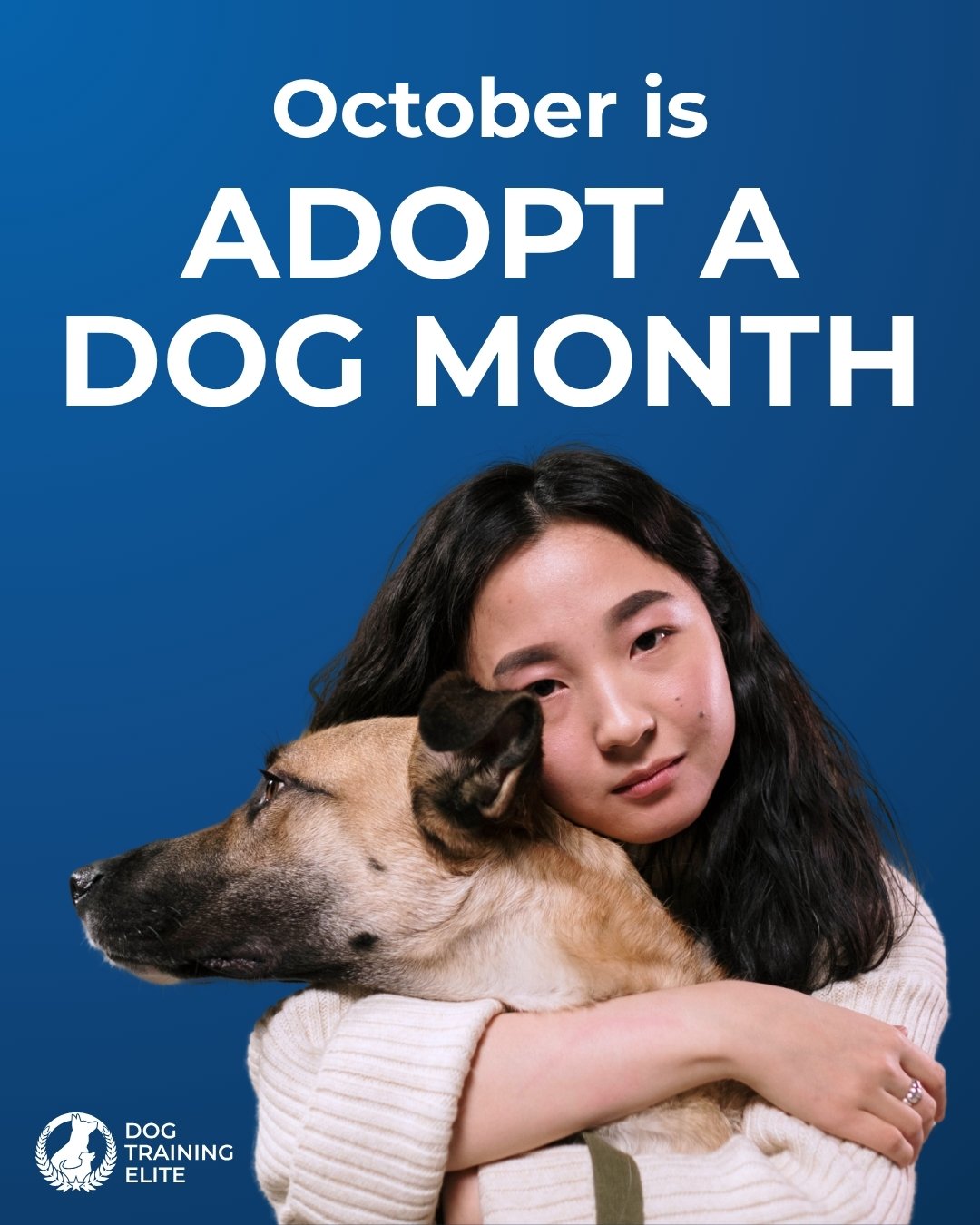 💙Celebrate Adopt a Dog Month by bringing a new dog home.💙

Every adopted dog comes with a unique personality and needs. As you get to know your new dog, professional training can help them learn good behavior.

At Dog Training Elite North Orlando, we work with you to find the right training approach for your dog. Contact us at 407-974-6091 to get a free consultation today.

