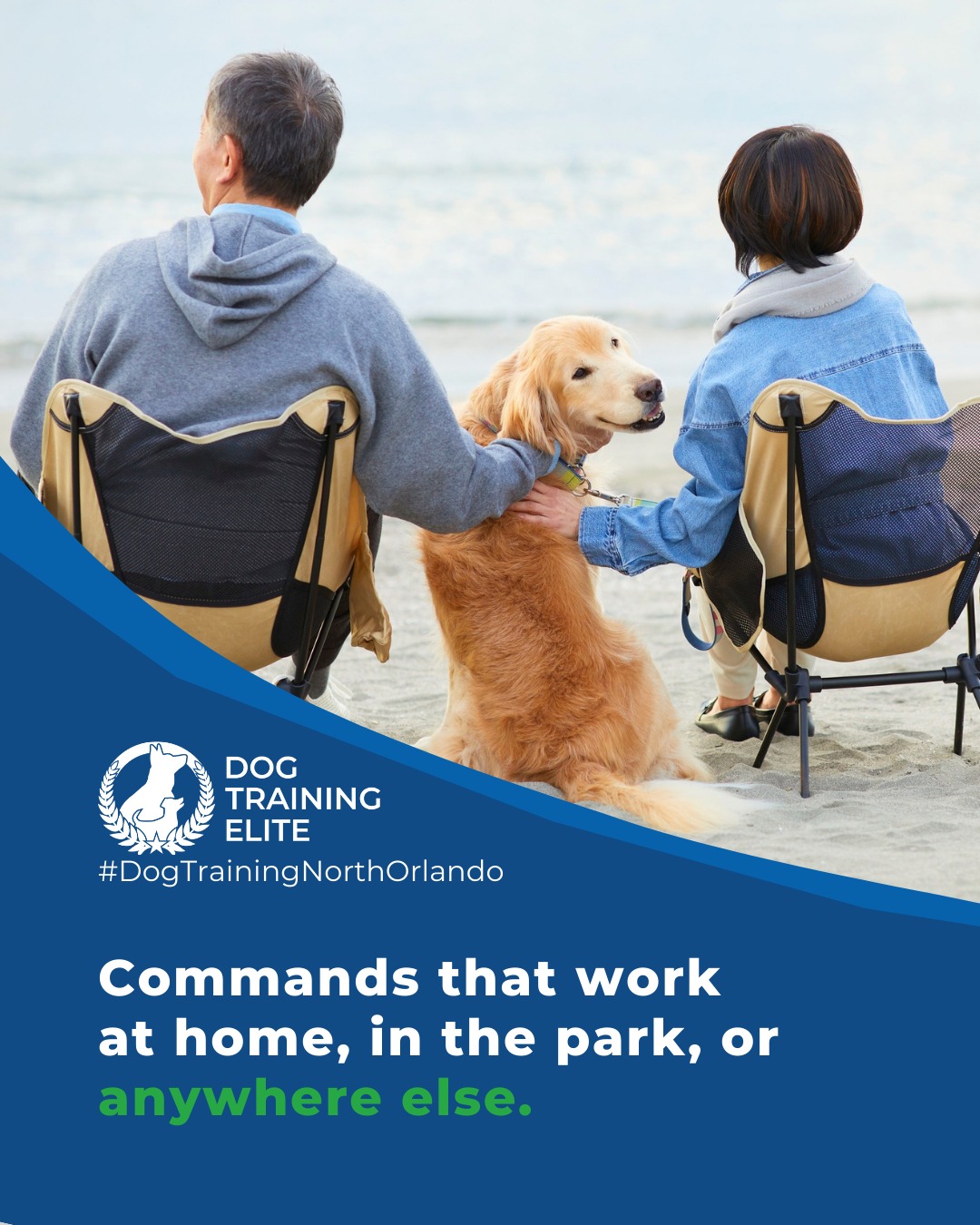 Dogs often perform well at home but fail in new environments. This is called &lsquo;context-specific learning.&rsquo; To prevent it, gradually introduce distractions, such as different rooms, outdoor areas, or other people and dogs. Reward consistency everywhere, not just at home.

🐾 Start small and increase distractions gradually
 🐾 Reward your dog for performing commands in new environments
 🐾 Practice regularly in different locations to build reliability and confidence

Dogs that are proofed across environments are more reliable, confident, and stress-free.

🎯 From basic obedience to advanced service dog training, Dog Training Elite North Orlando helps dogs near Maitland build better behavior and stronger bonds this season. 🐾
 📍 https://maps.app.goo.gl/ppJCTnWuEJJonM3y8



