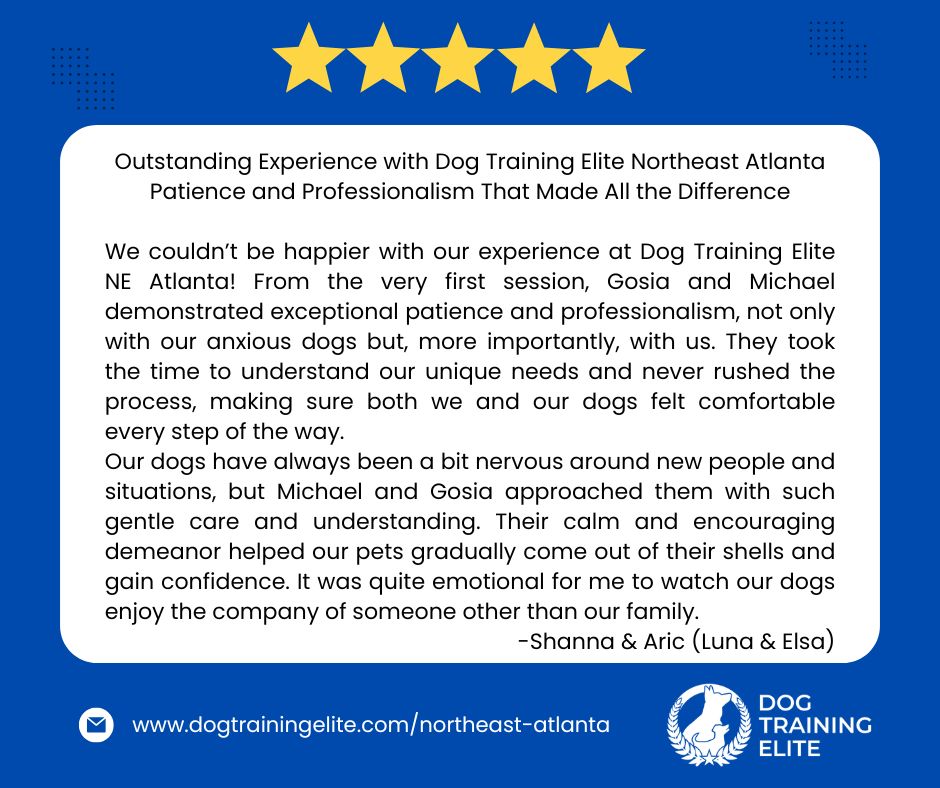 At Dog Training Elite NE Atlanta, training isn&rsquo;t just about obedience &mdash; it&rsquo;s about relationships. We believe every dog and every family deserves a personal, compassionate approach. That means taking the time to truly listen, to understand your goals, and to support you every step of the way.

We treat every client and every pup like they&rsquo;re part of our extended family &mdash; because to us, they are💙

 