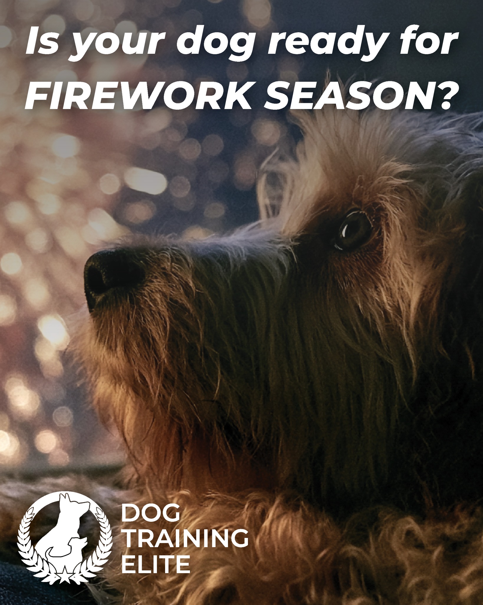 🎆 Fireworks season is exciting for us&hellip; but for many dogs, it can be one of the most stressful times of the year 🐾

If your pup gets nervous during fireworks, a little preparation can make a big difference:

✔️ Exercise earlier in the day &ndash; A walk, training session, or enrichment activities can help reduce excess energy
✔️ Create a safe space &ndash; Set up a quiet, comfortable area where your dog already feels secure
✔️ Close windows & curtains &ndash; Reduce noise and flashing lights as much as possible
✔️ Use calming background noise &ndash; TV, white noise, or calming music can help mask sudden booms
✔️ Keep ID tags on & double-check gates &ndash; More pets go missing around fireworks than many people realize
✔️ Don&rsquo;t force interaction &ndash; Let your dog choose where they feel most comfortable
✔️ Reward calm behavior &ndash; Gentle praise, treats, and keeping things normal can help build confidence

If your dog struggles with fear, anxiety, barking, pacing, or panic during fireworks, training can help create long-term confidence&mdash;not just temporary management.

Stay safe and give your pups an extra cuddle from us ❤️🐶