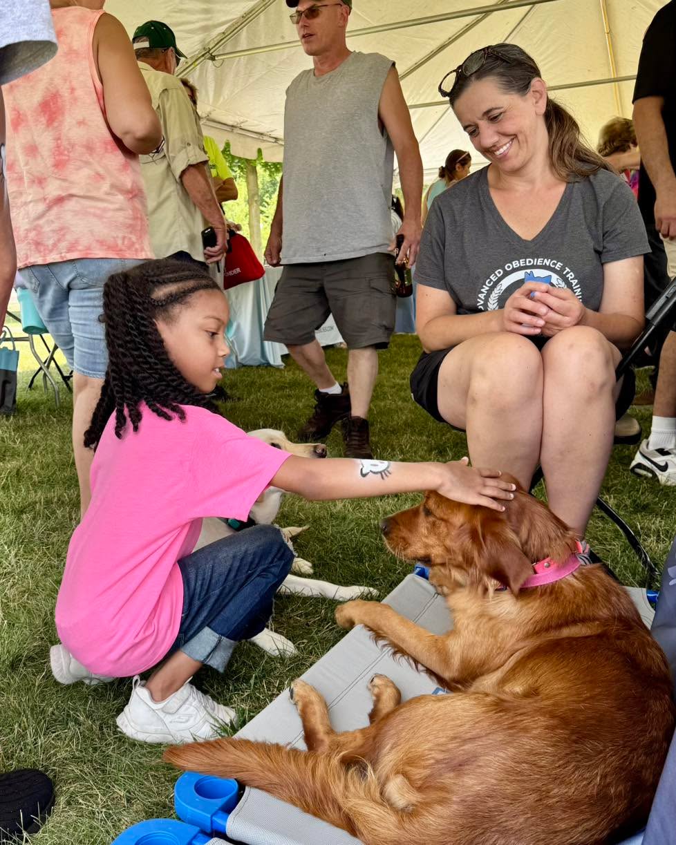 Dogs are the best!  This reel sums it up perfectly&hellip;

https://www.instagram.com/reel/DT1_I1GjZtS/?igsh=dTc5eWN3MXQ0MWRk

