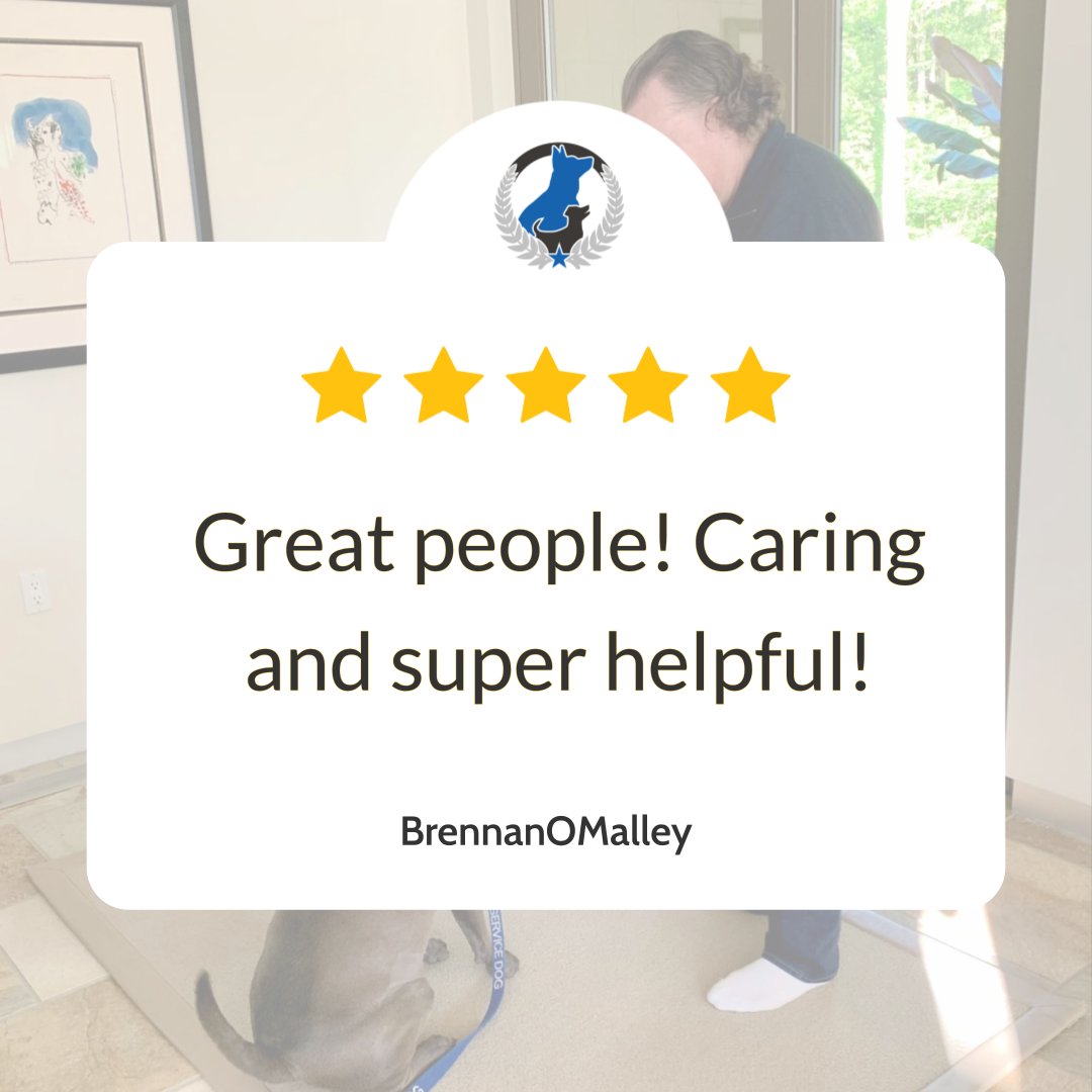 Kind words like &ldquo;Great people! Caring and super helpful!&rdquo; are exactly what we work for at Dog Training Elite Northeast Ohio Facility. We&rsquo;re proud to be a professional dog trainer team that serves families across Mayfield Village, Pepper Pike, Shaker Heights, Willoughby, Chagrin Falls, Euclid, Cleveland Heights, Chardon, and Solon with training that&rsquo;s clear, fair, and easy to follow. Whether you&rsquo;re starting with manners or you need aggressive dog training for tough behaviors, our goal is the same: help you feel confident handling your dog in real life.

Our training is built on high repetitions so your dog truly understands what you&rsquo;re asking, not just once, but every time. We teach the core commands COME, SIT, DOWN, HEEL, PLACE, OFF, and QUIET, and we show you how to use them at home and out in the community. We also offer service dog training for people who need a dependable partner, including psychiatric support needs, with step-by-step progress you can measure.

If you&rsquo;re ready to work with a professional dog trainer who puts your dog&rsquo;s success and your peace of mind first, reach out today to schedule your free in-home assessment.
