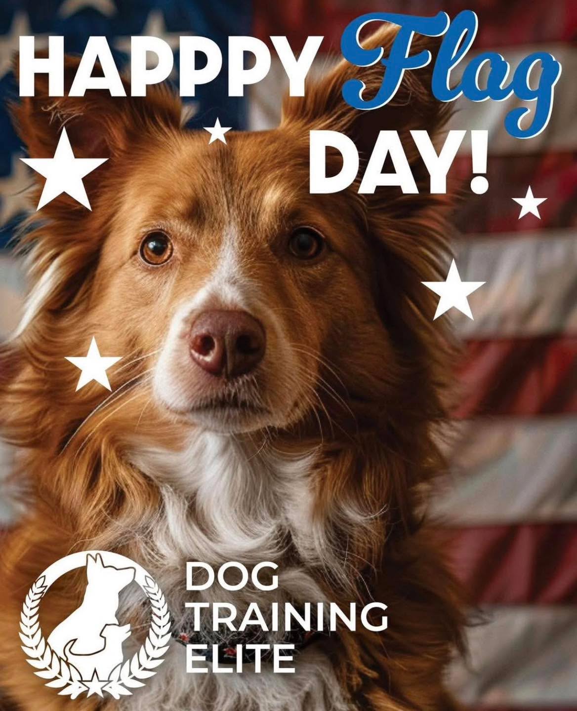 &ldquo;I pledge allegiance to the Flag of the United States of America, and to the Republic for which it stands, one Nation under God, indivisible, with liberty and justice for all.

Our flag is not just a piece of fabric; it represents our shared identity, liberty, and the sacrifices made to protect our freedoms. 

Happy Flag Day!