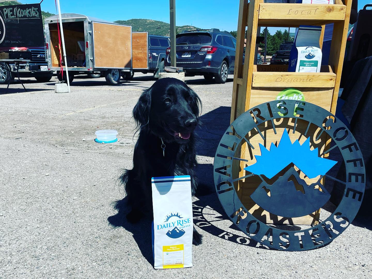 Gryff loves our friends from @dailyrisecoffee! Thanks for the afternoon pick-me-up 😀! 