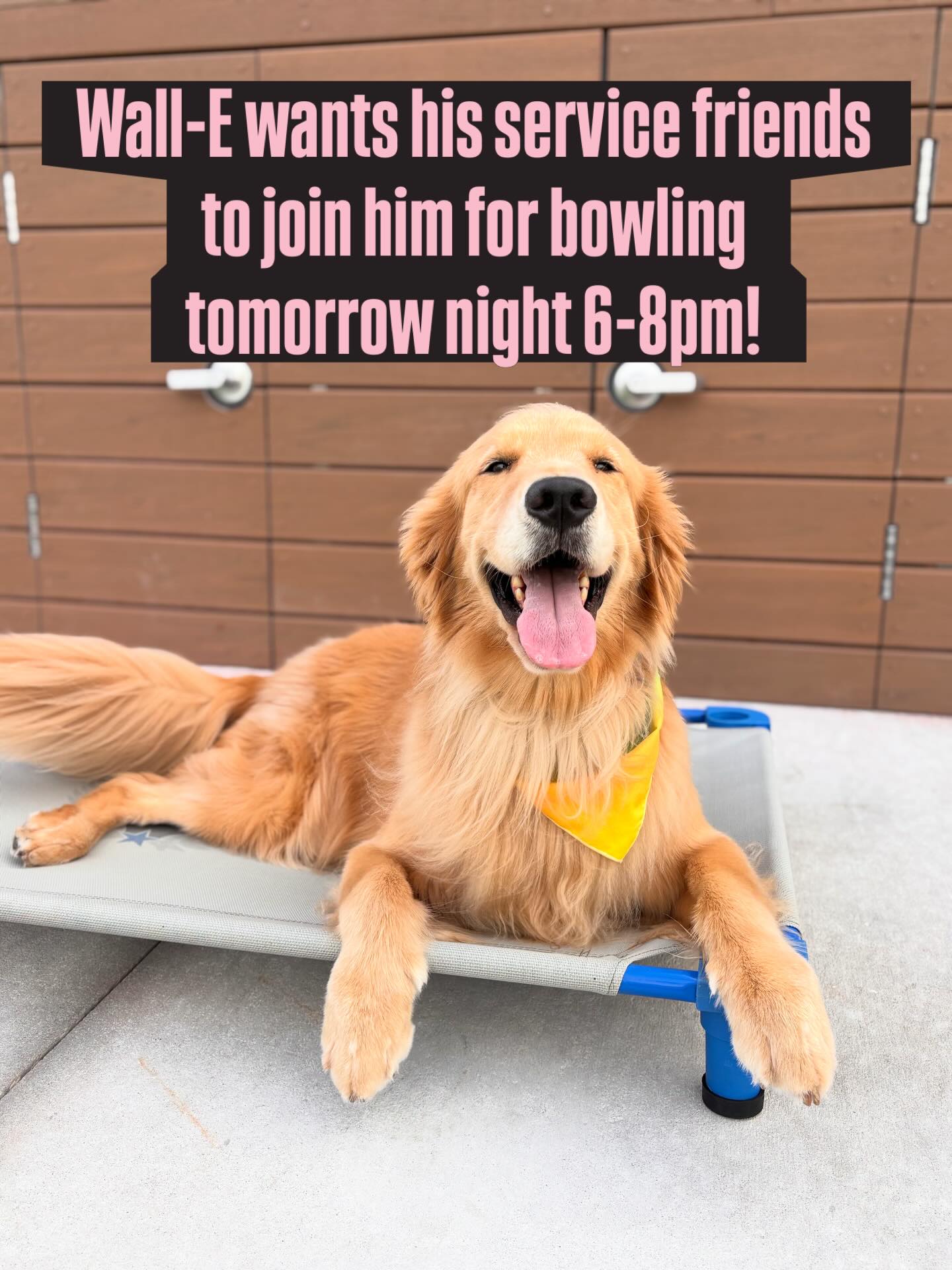 DTE Service Clients!!!!! Don&rsquo;t forget to reach out to sign up for our monthly service outing tomorrow night from 6-8pm! We are taking it to the bowling alley for some relaxation and fun! Call or text 407-375-2079 for the link to sign up!
