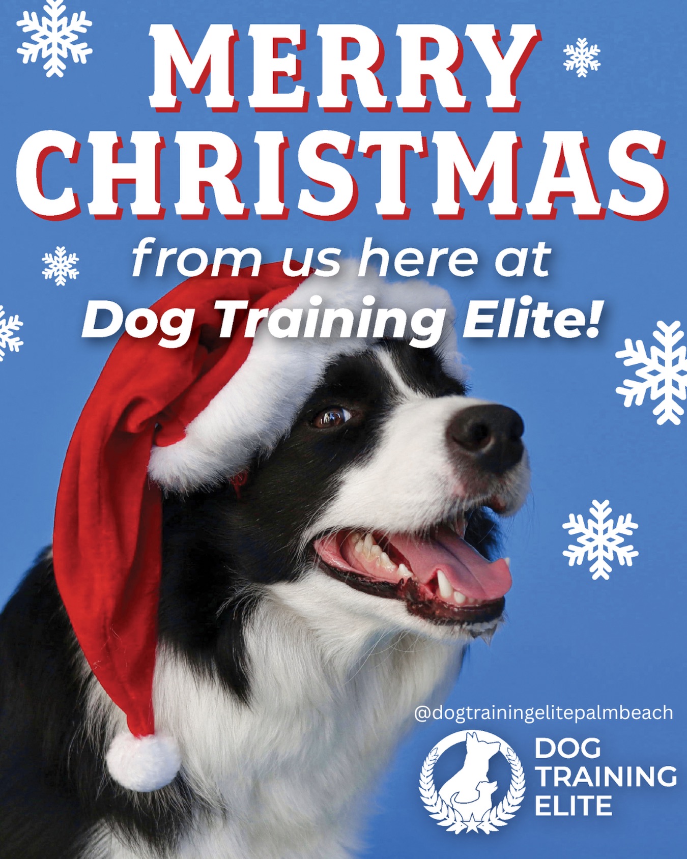 Merry Christmas from Dog Training Elite Palm Beach County! 🎄

We&rsquo;re so grateful for every dog and owner who trusted us this year. Wishing you a holiday filled with love, joy and well-trained pups.
.
.
.
